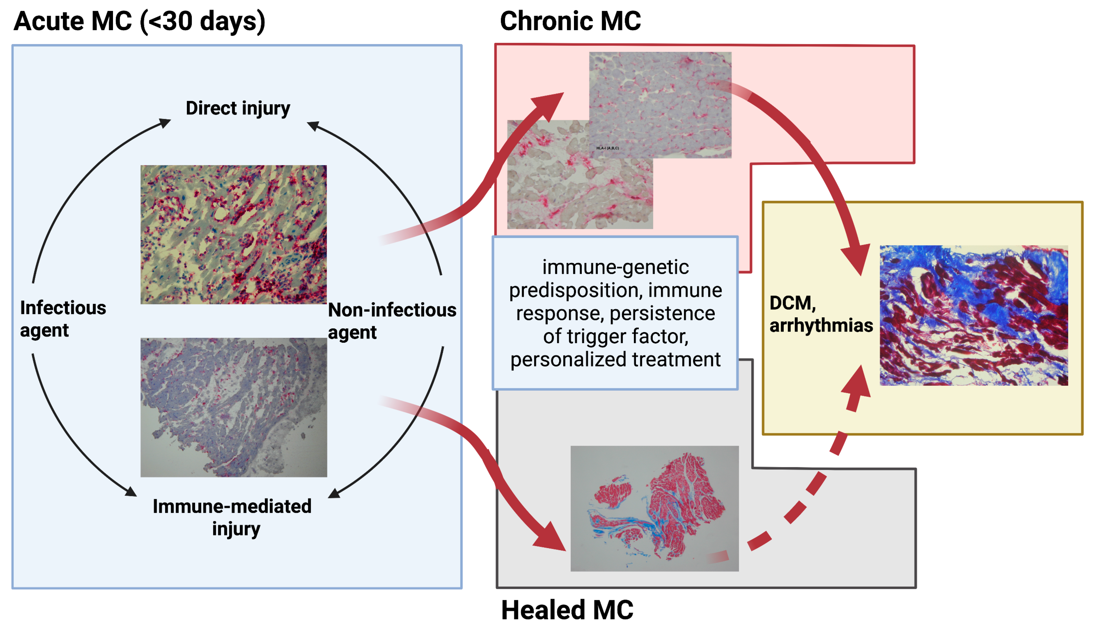 Jpm 12 00183 g001