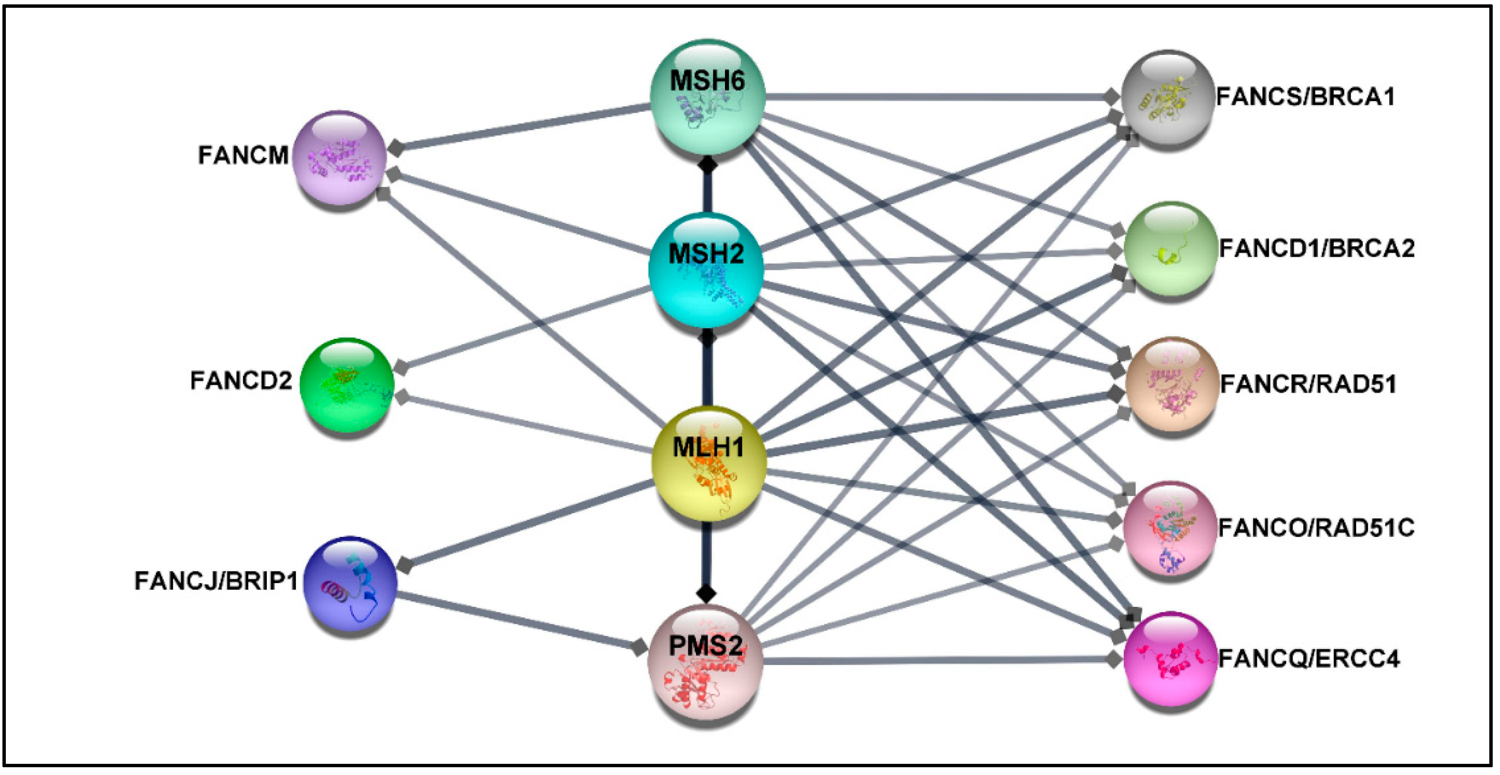 Jpm 12 00396 g002 Jpm 12 00396 g002