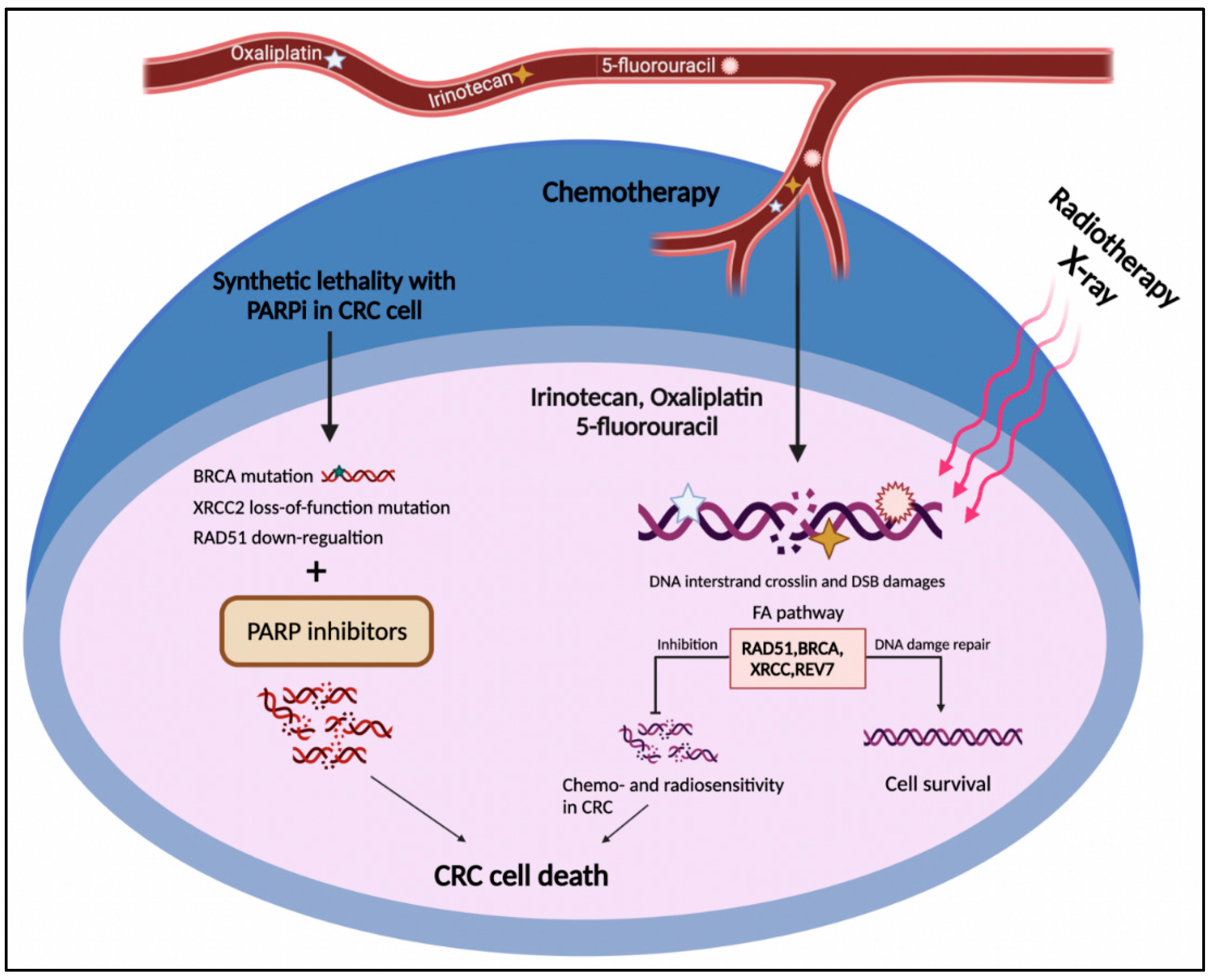 Jpm 12 00396 g004 Jpm 12 00396 g004