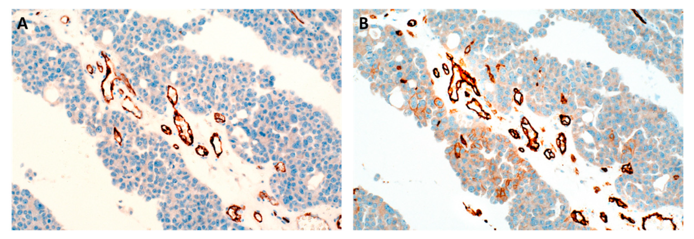 Jpm 12 00551 g001 Jpm 12 00551 g001