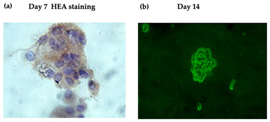 D-CSF-SC-23 Study Material