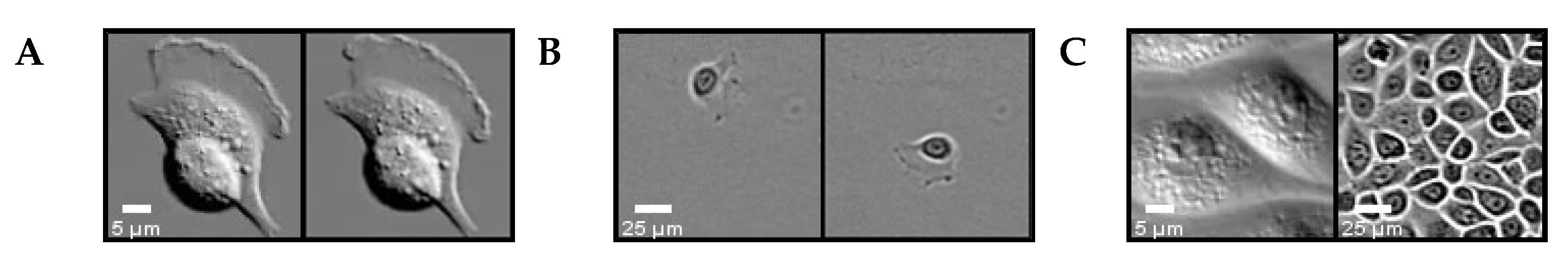 Jpm 12 00809 g001 Jpm 12 00809 g001