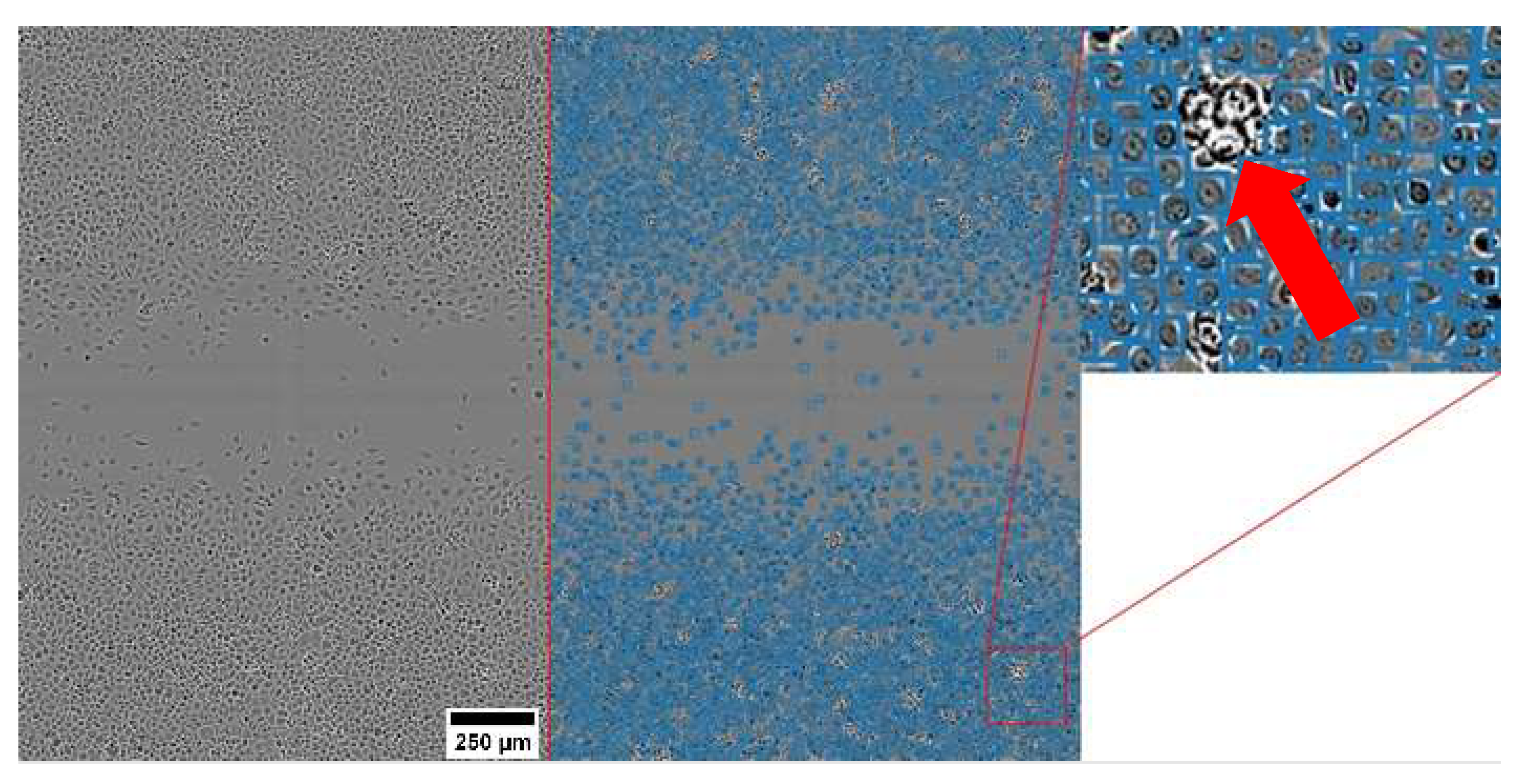 Jpm 12 00809 g002 Jpm 12 00809 g002
