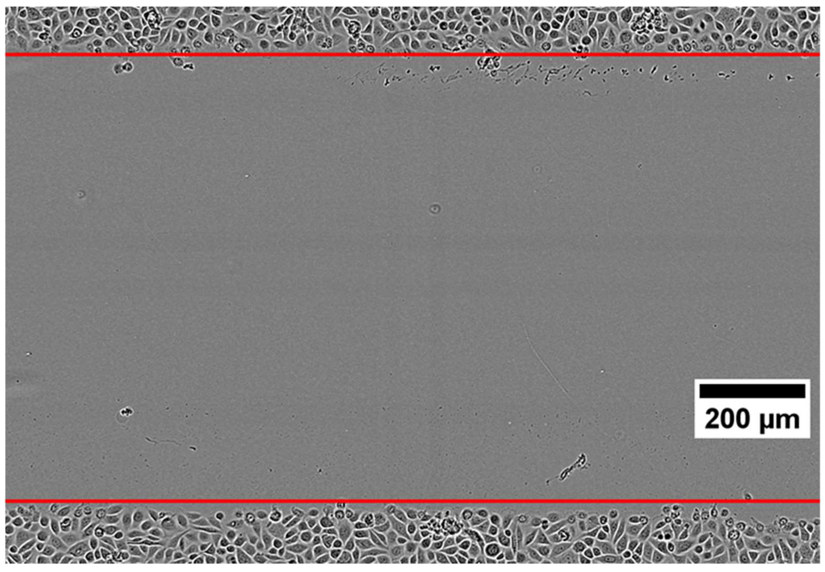 Jpm 12 00809 g006 Jpm 12 00809 g006