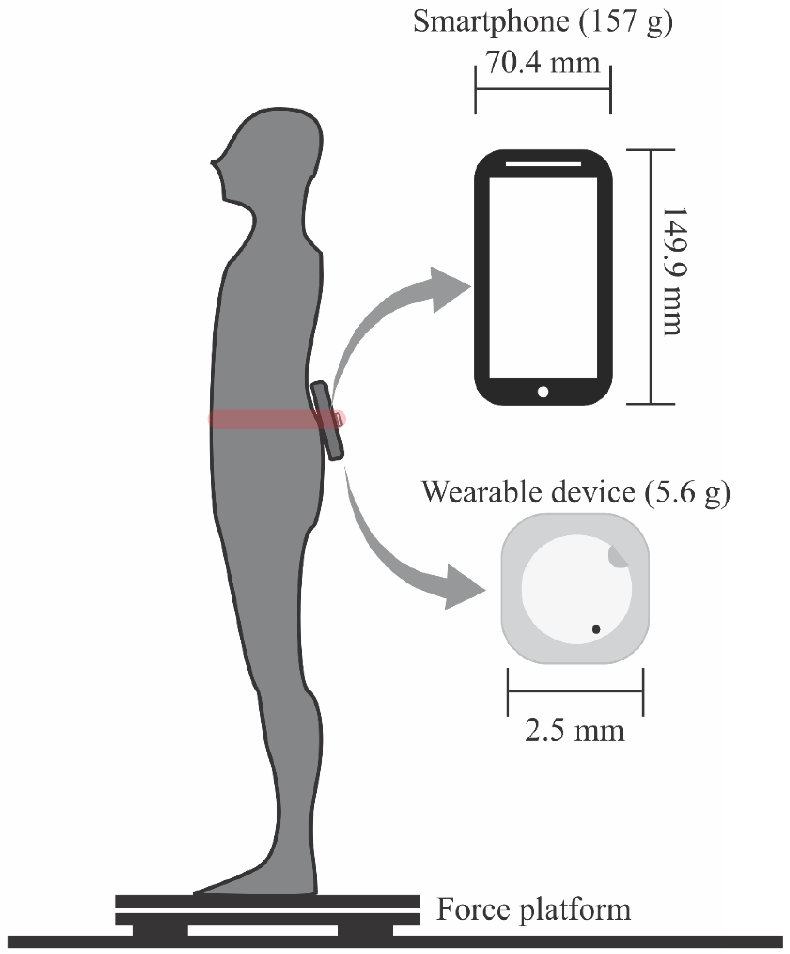 Jpm 12 01019 g001 Jpm 12 01019 g001