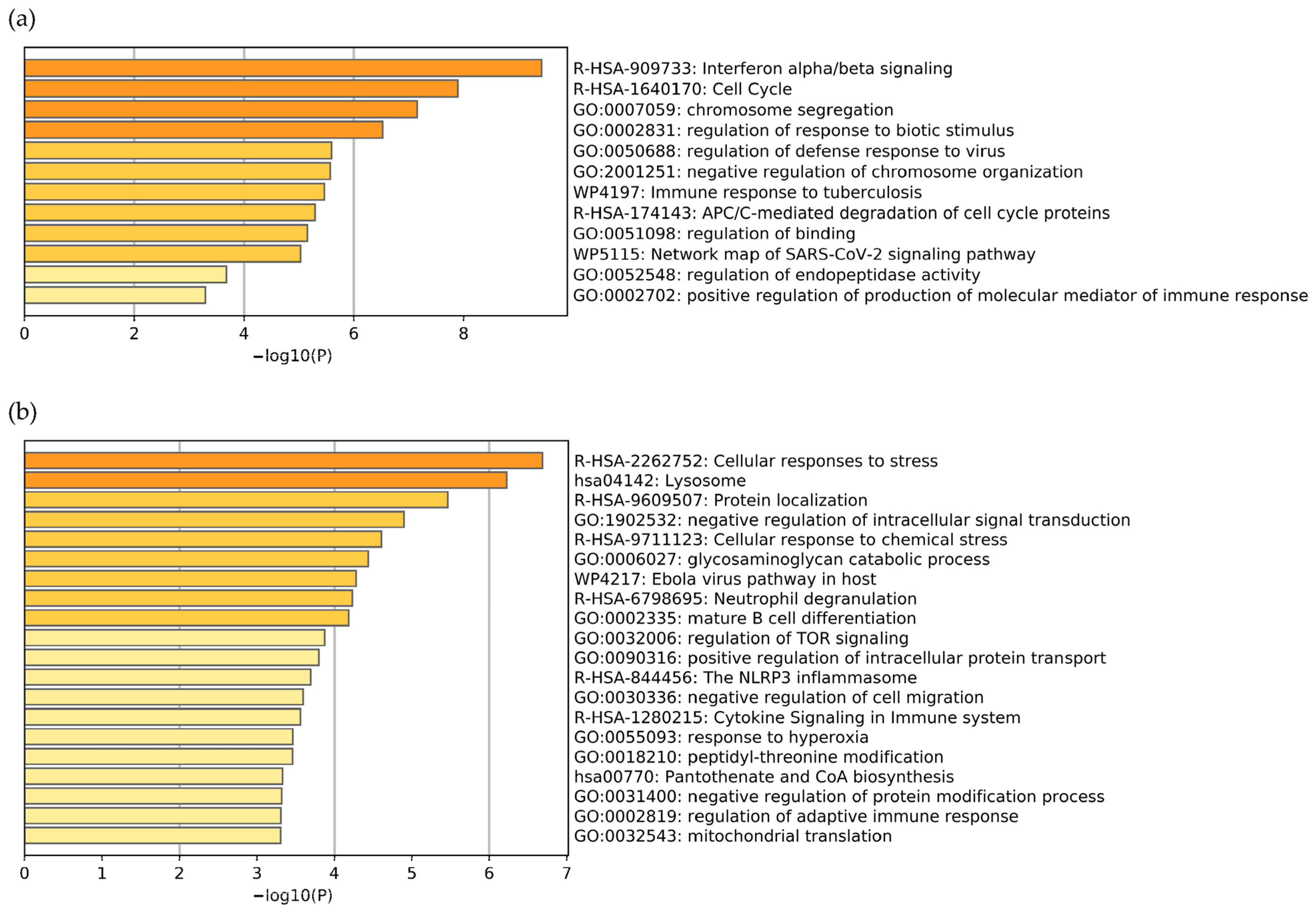 Jpm 12 01030 g003 Jpm 12 01030 g003