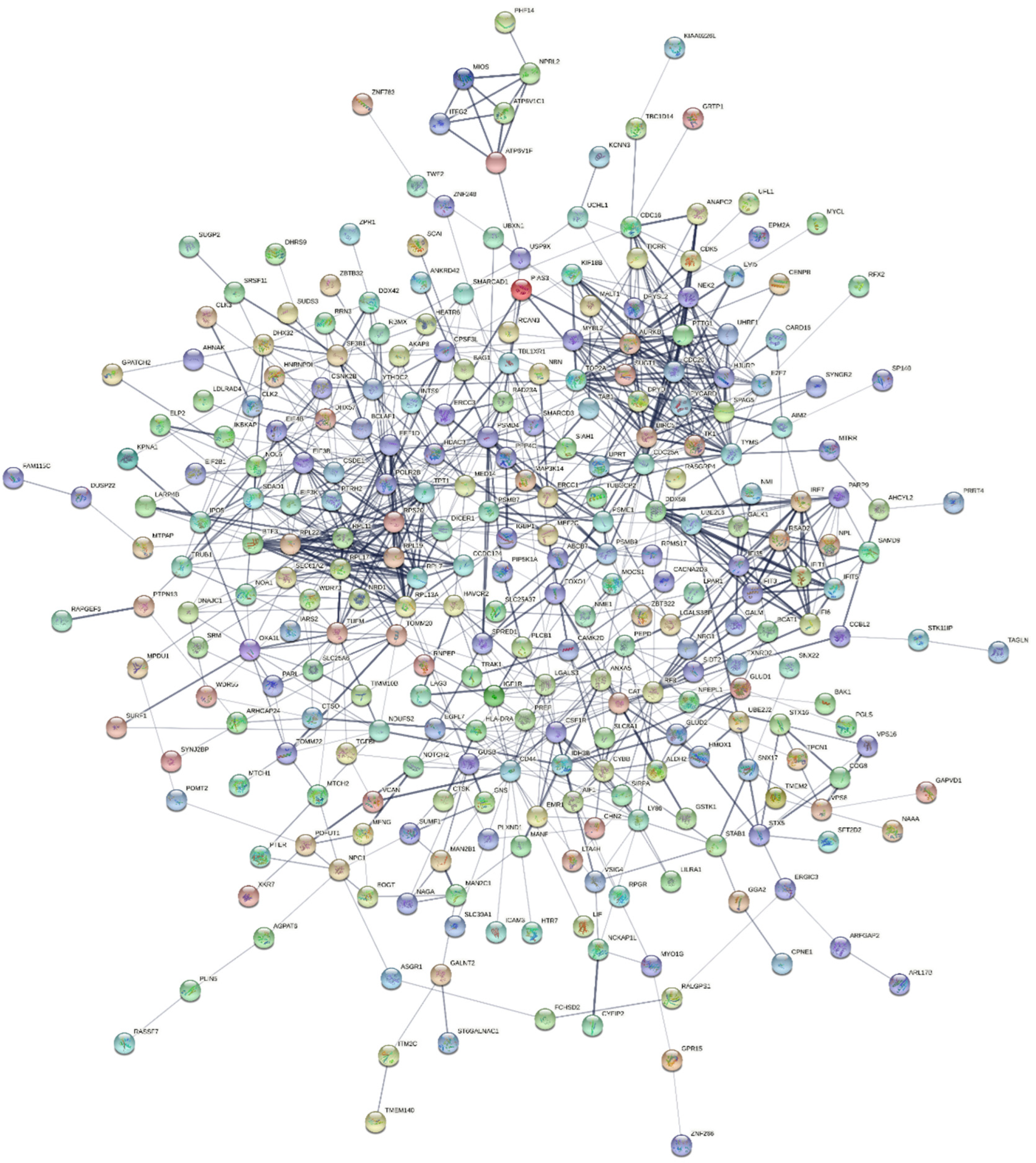 Jpm 12 01030 g004 Jpm 12 01030 g004