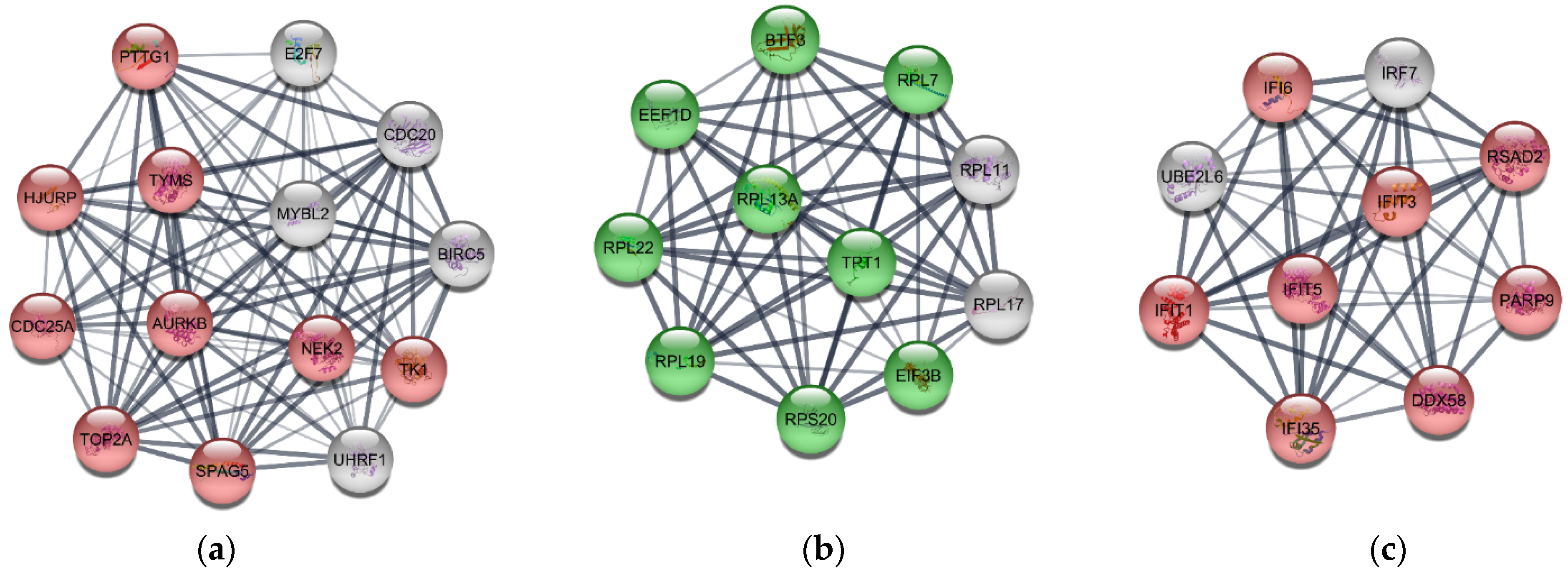 Jpm 12 01030 g006 Jpm 12 01030 g006