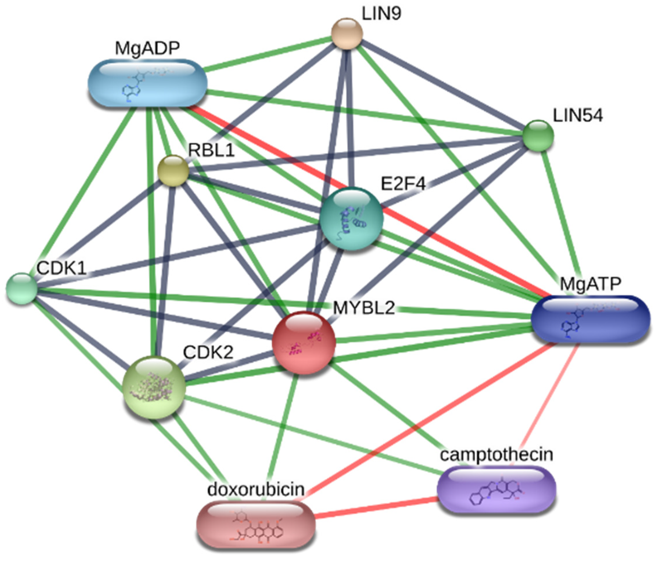 Jpm 12 01030 g009 Jpm 12 01030 g009