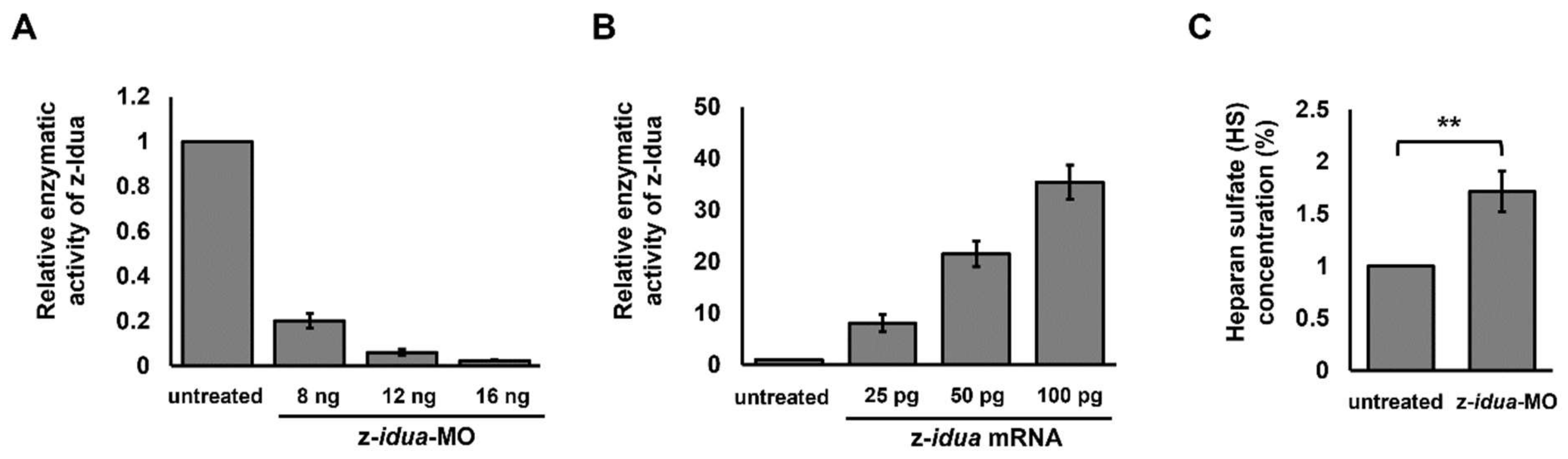 Jpm 12 01199 g001 Jpm 12 01199 g001