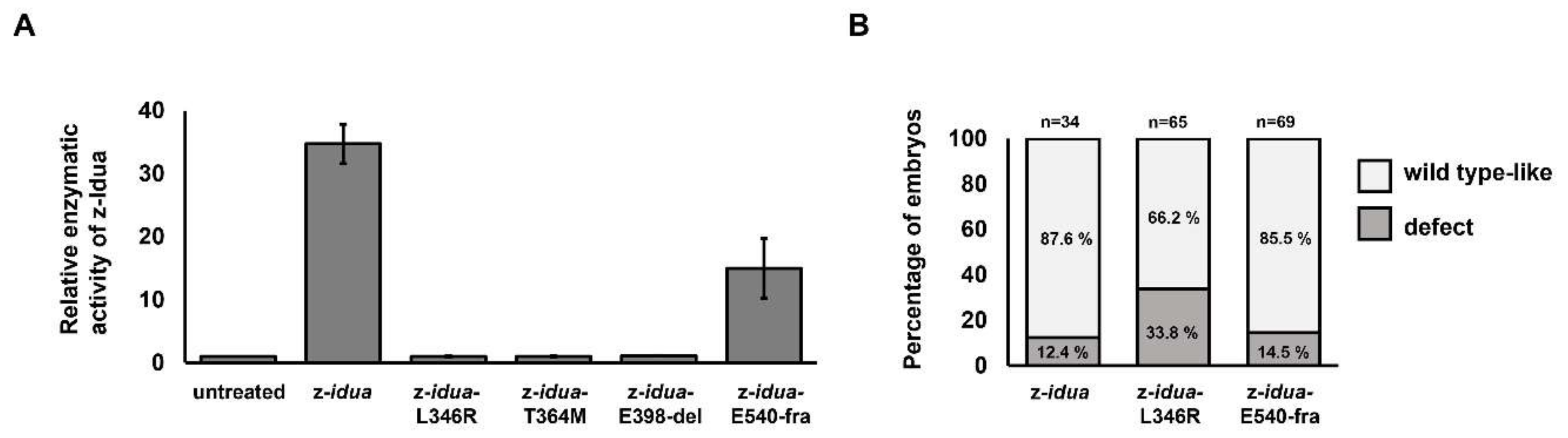 Jpm 12 01199 g002 Jpm 12 01199 g002