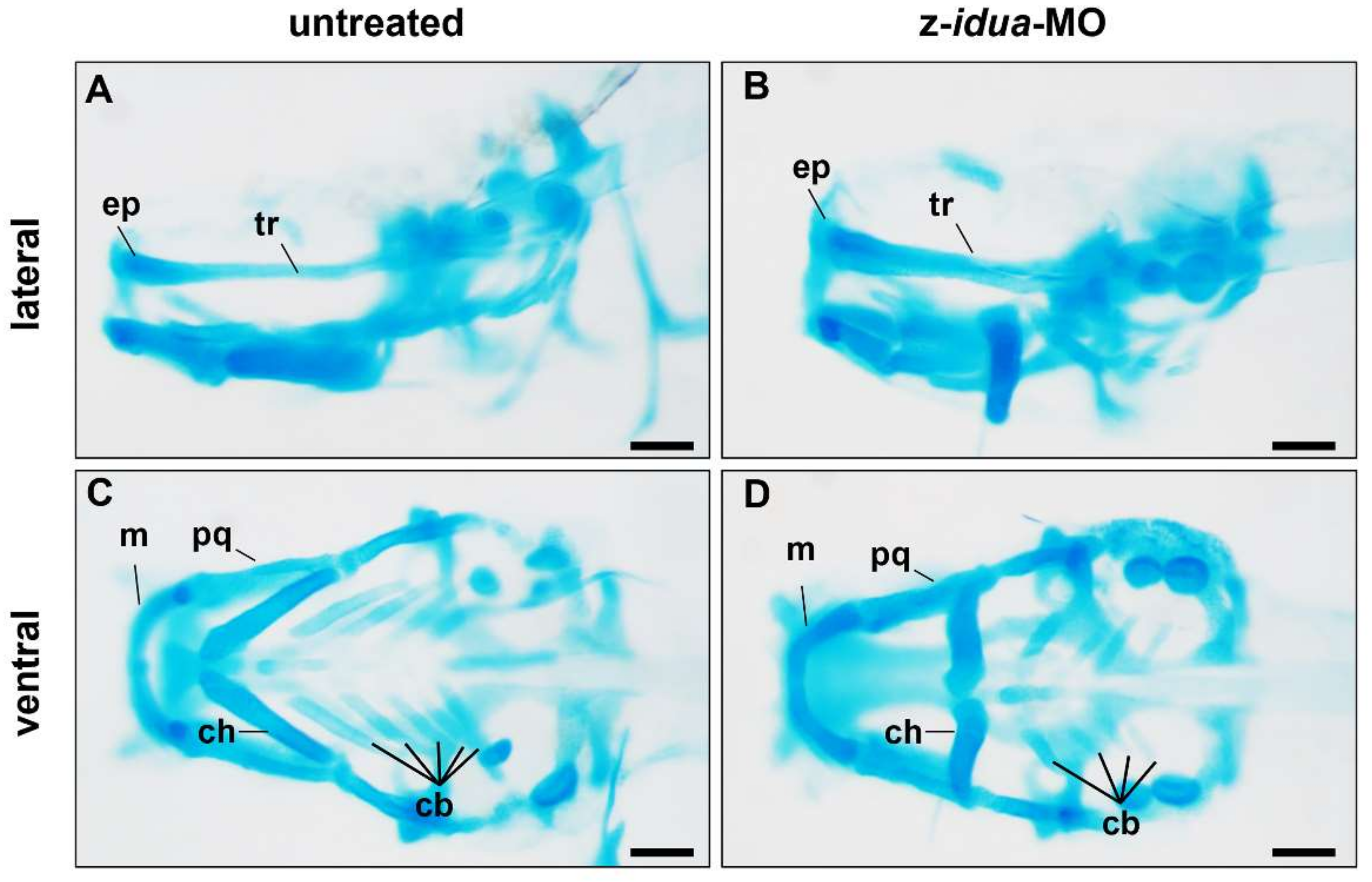 Jpm 12 01199 g004 Jpm 12 01199 g004