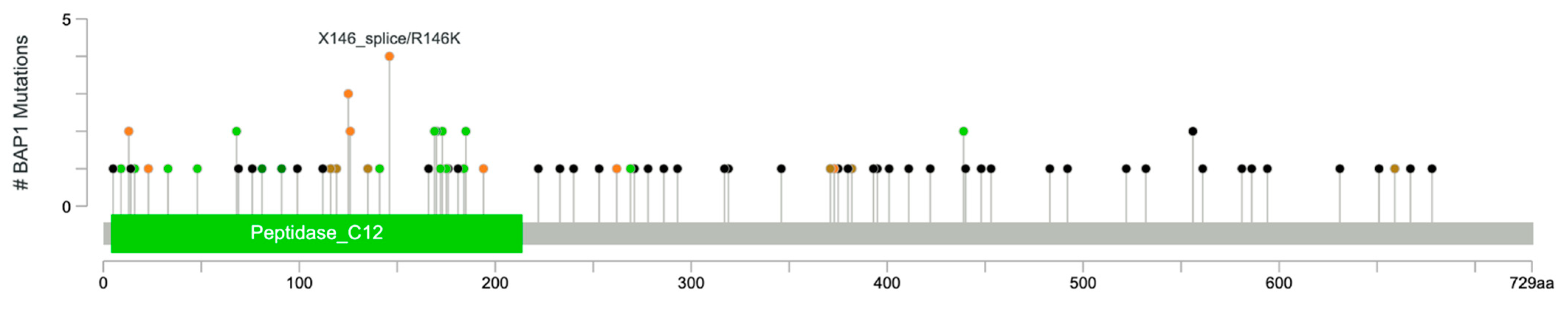 Jpm 12 01247 g002