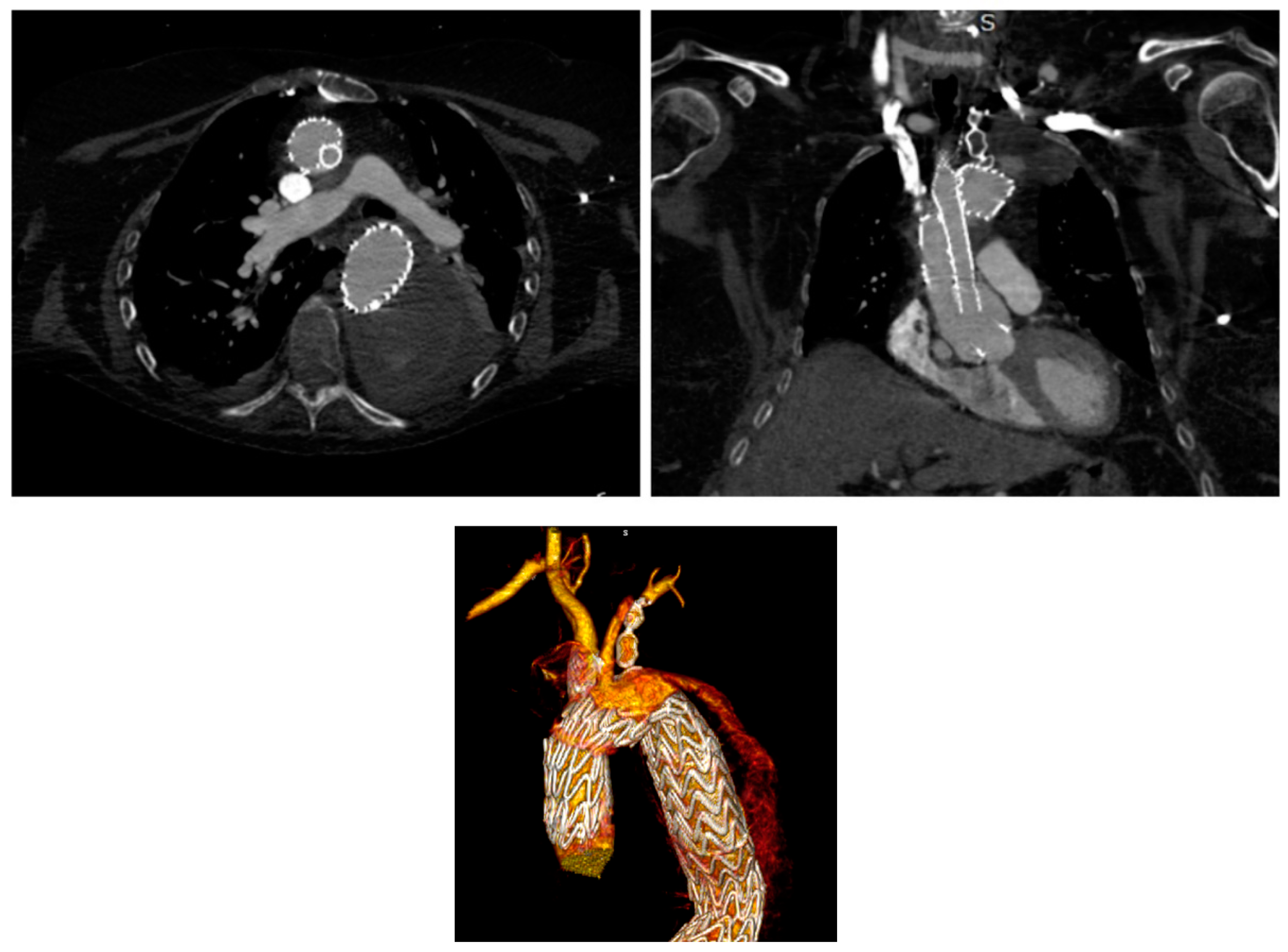 Jpm 12 01279 g002 Jpm 12 01279 g002