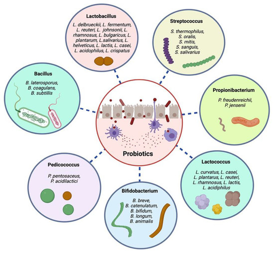 JPM | Free Full-Text | Pharmacological Efficacy of Probiotics in ...