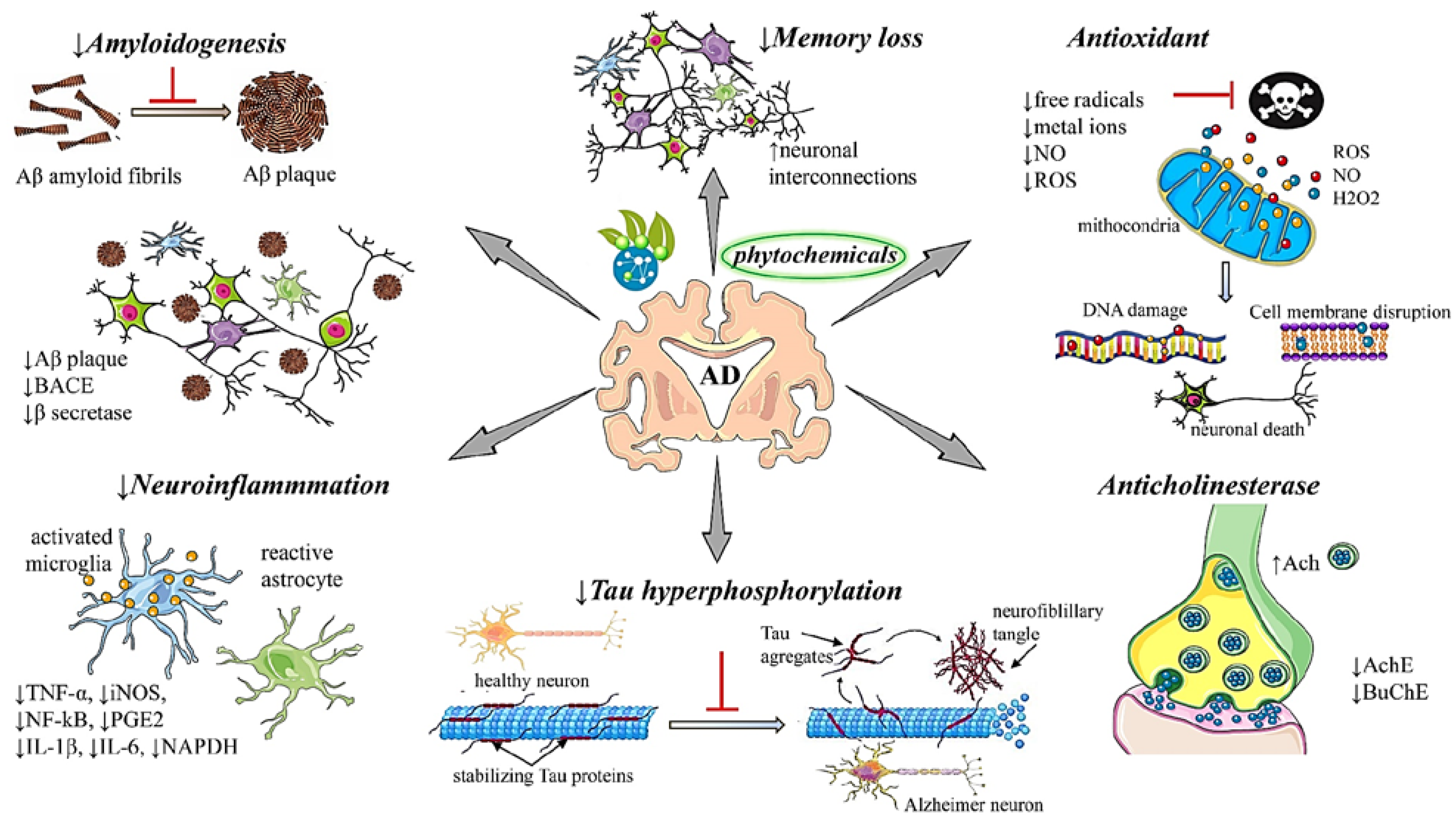 Jpm 12 01515 g001 Jpm 12 01515 g001