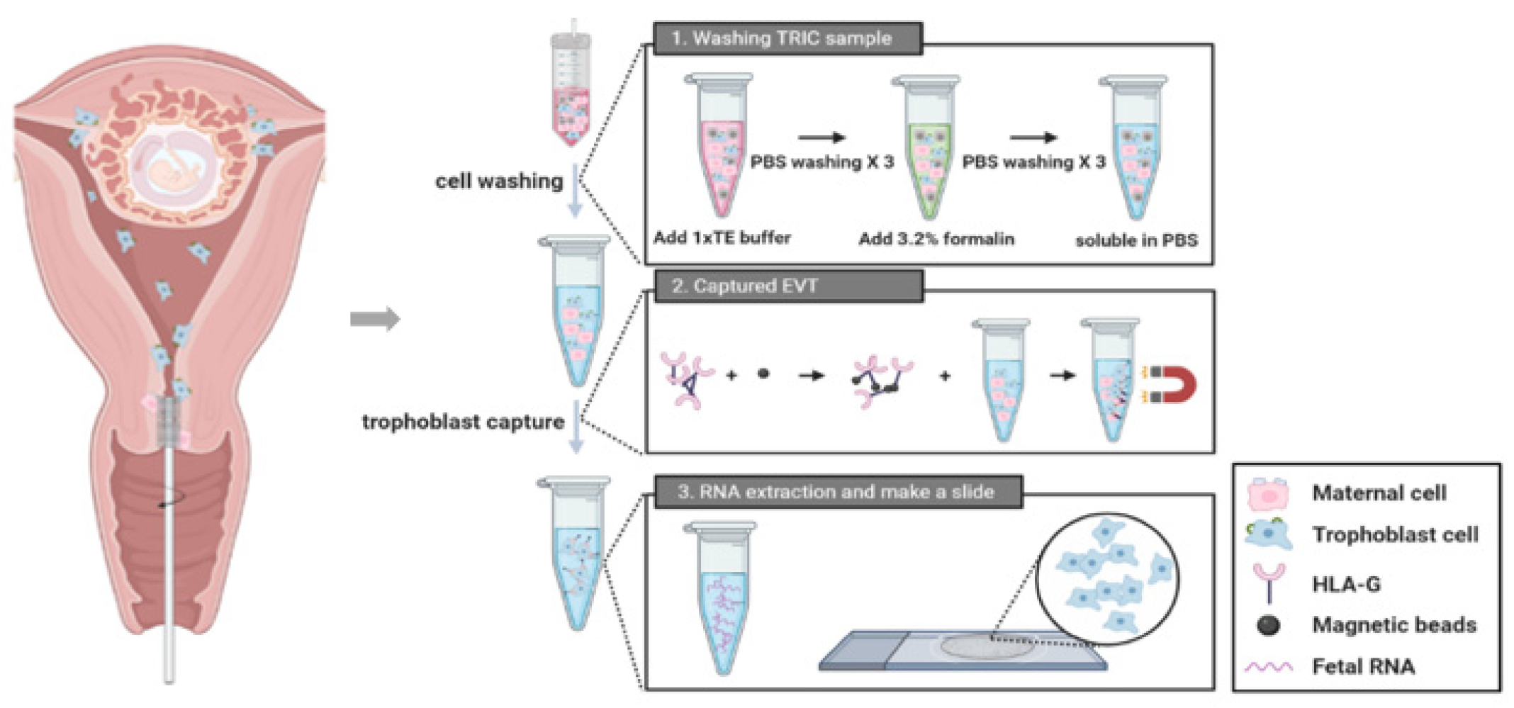 Jpm 13 00022 g001 Jpm 13 00022 g001