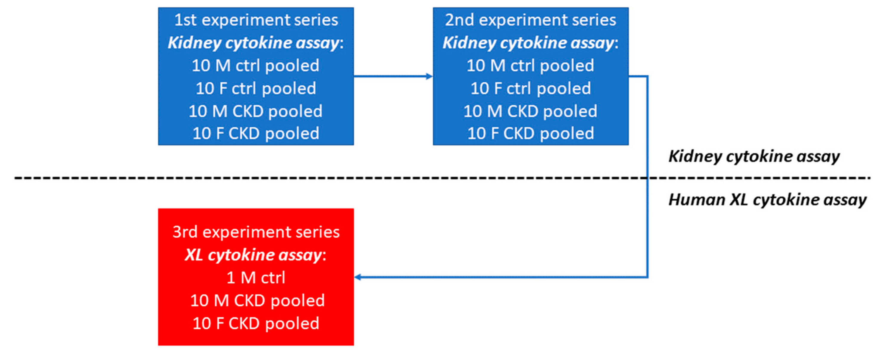 Jpm 13 00038 g001 Jpm 13 00038 g001