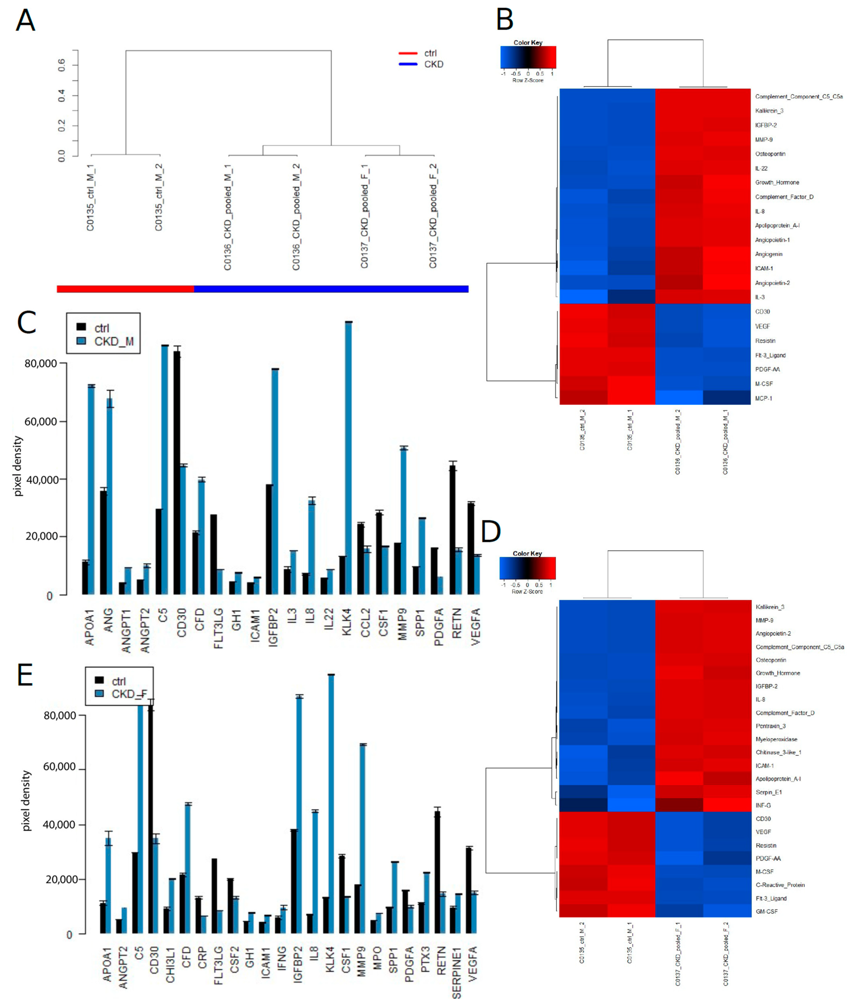 Jpm 13 00038 g004 Jpm 13 00038 g004