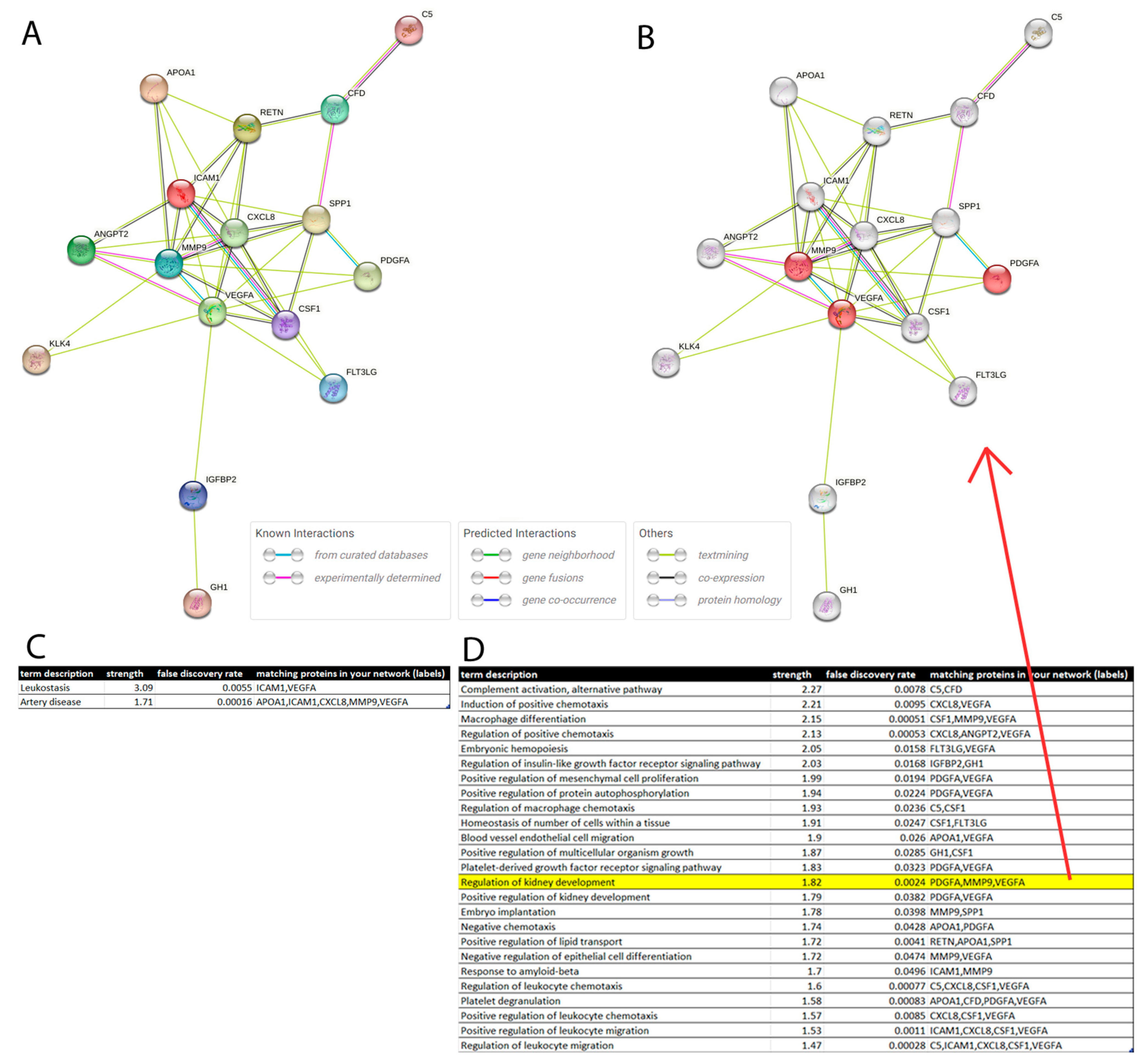 Jpm 13 00038 g005 Jpm 13 00038 g005