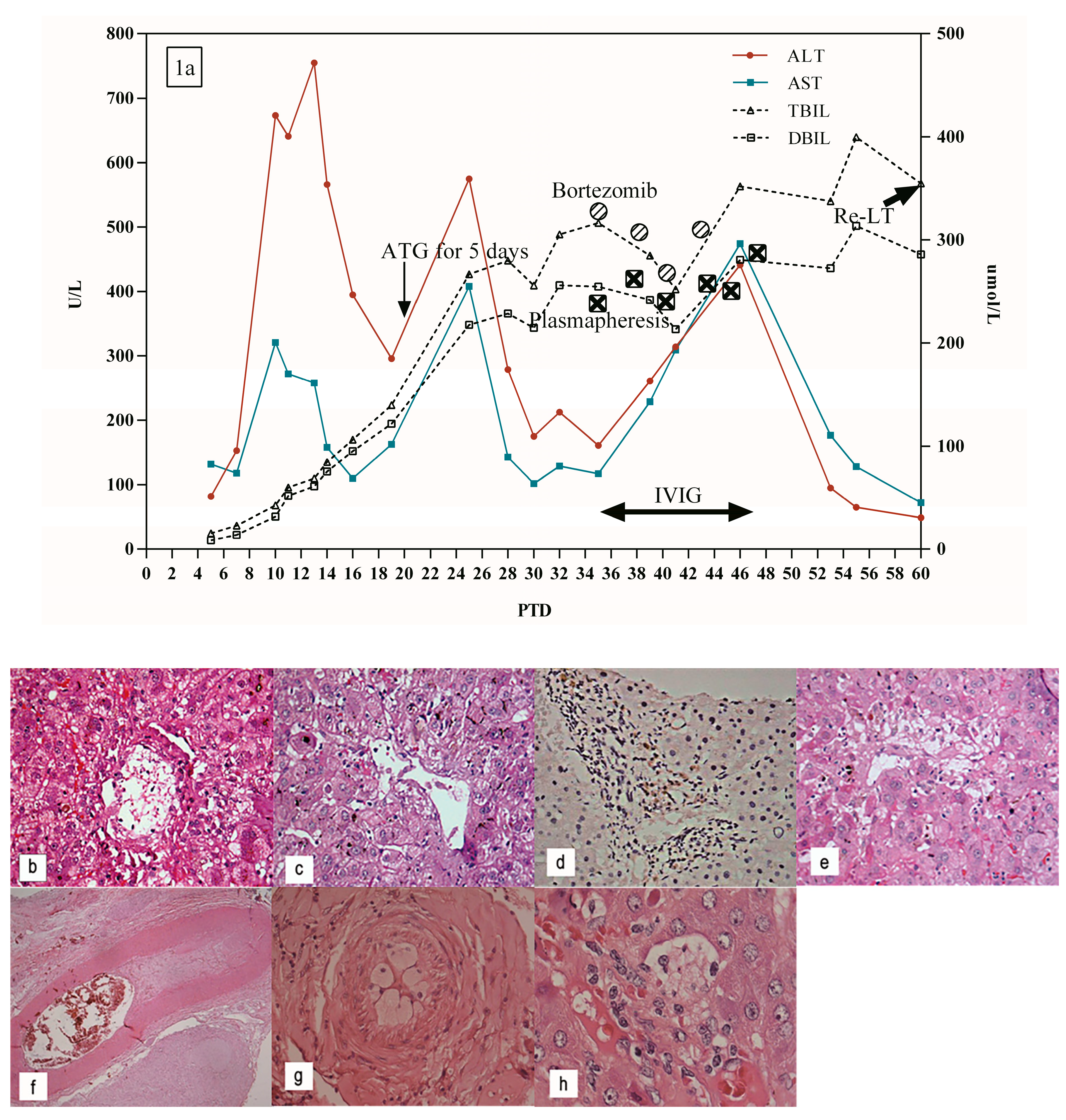 Jpm 13 00041 g001 Jpm 13 00041 g001