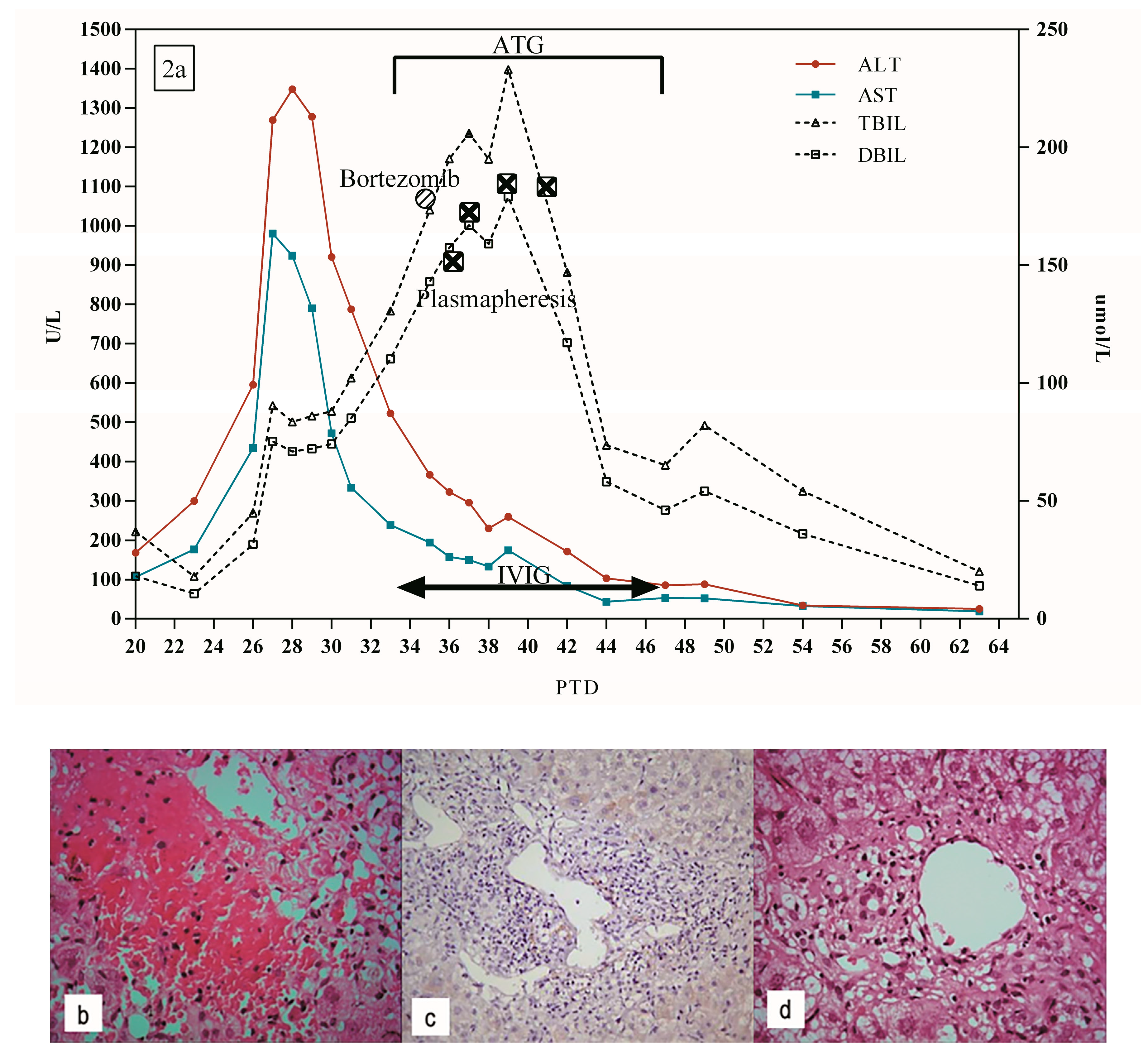 Jpm 13 00041 g002 Jpm 13 00041 g002