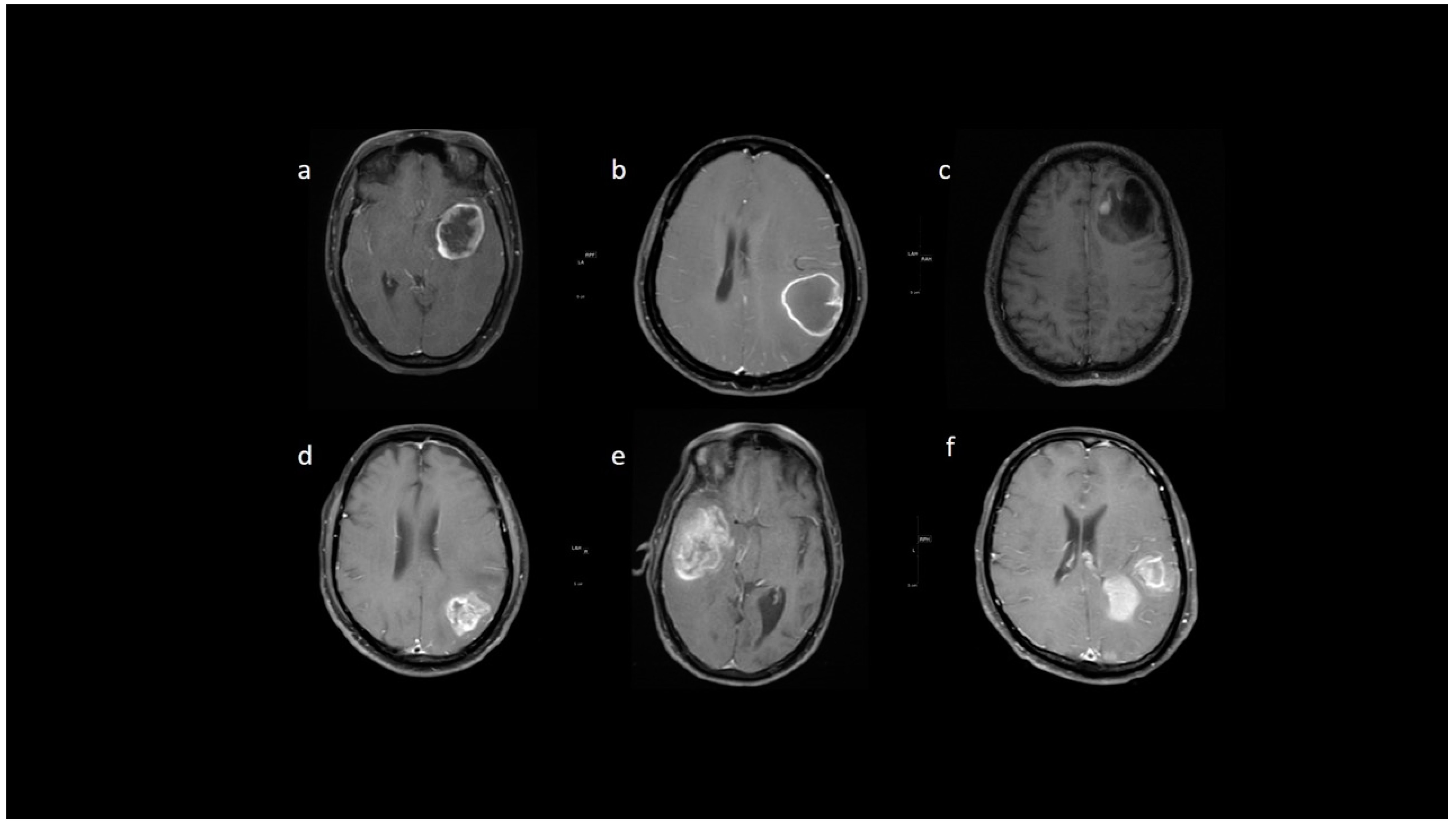 Jpm 13 00072 g009 Jpm 13 00072 g009