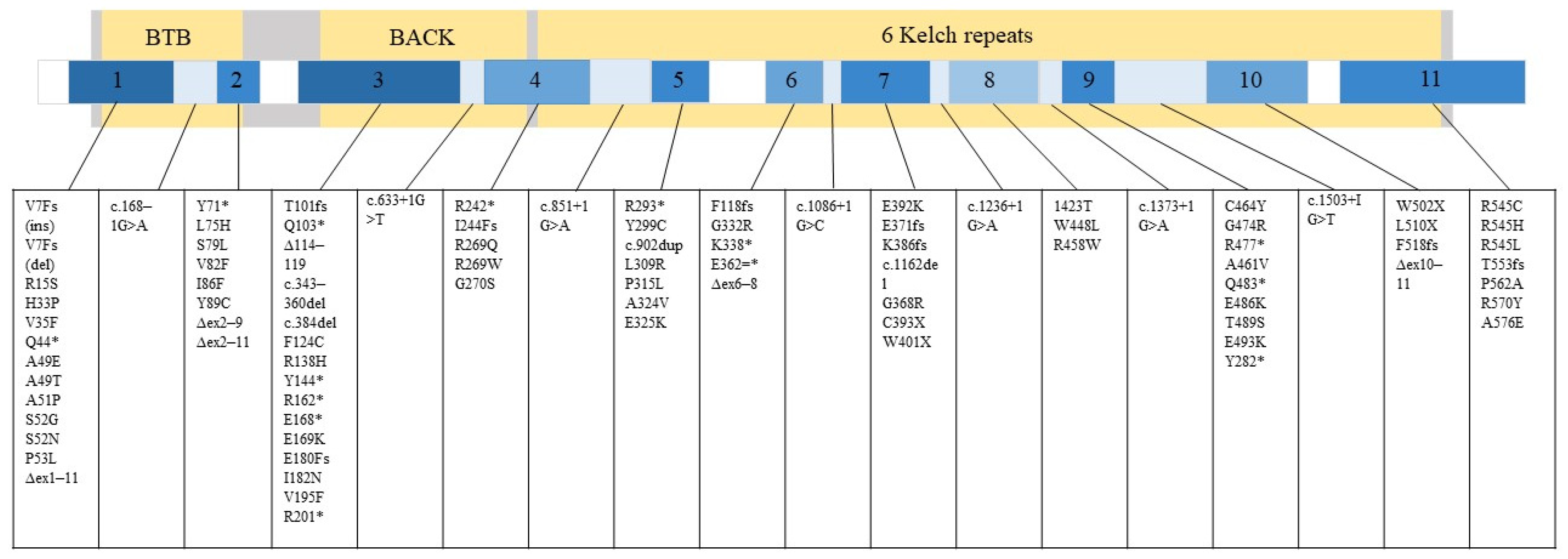 Jpm 13 00091 g001 Jpm 13 00091 g001
