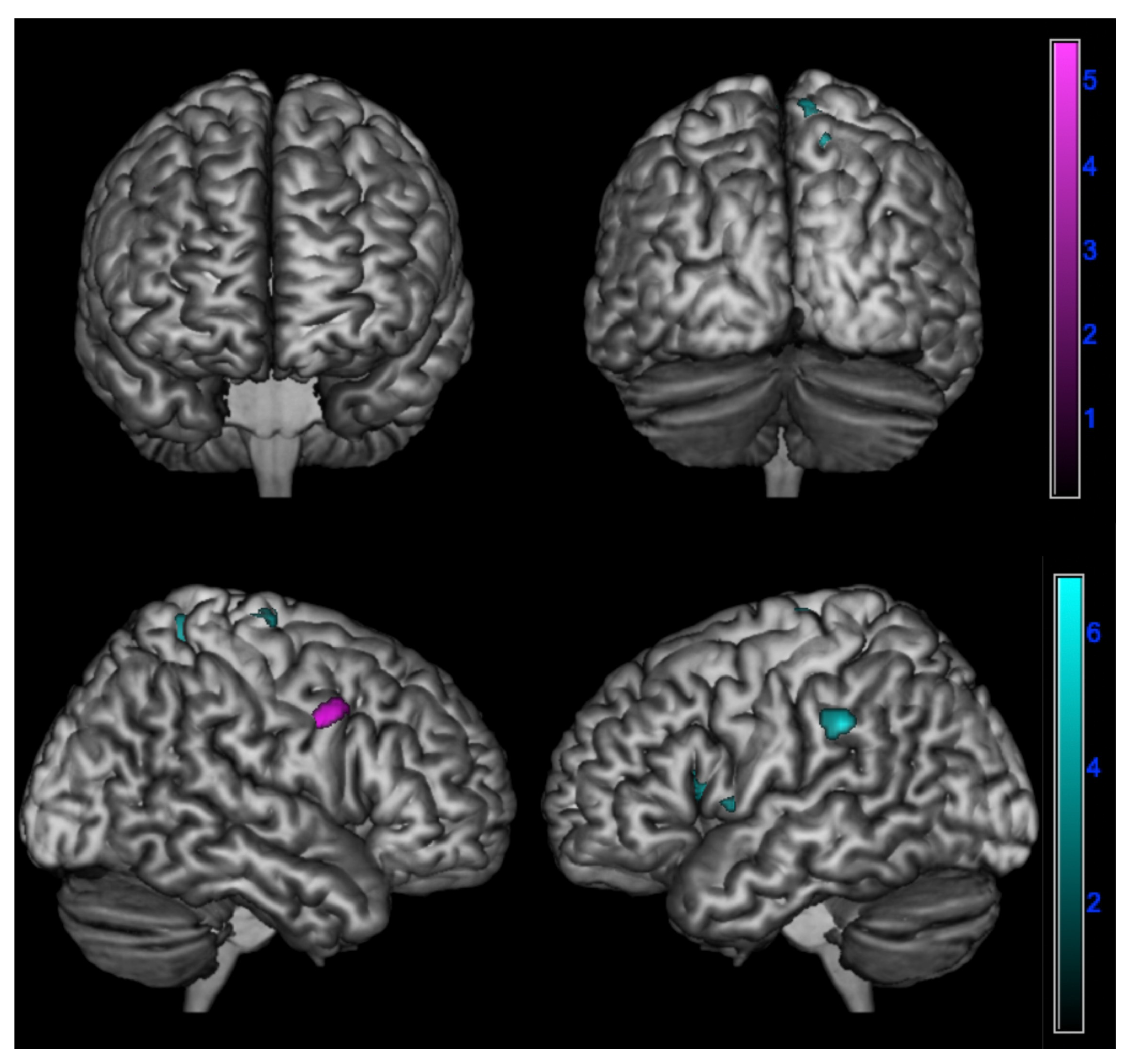 Jpm 13 00208 g004 Jpm 13 00208 g004