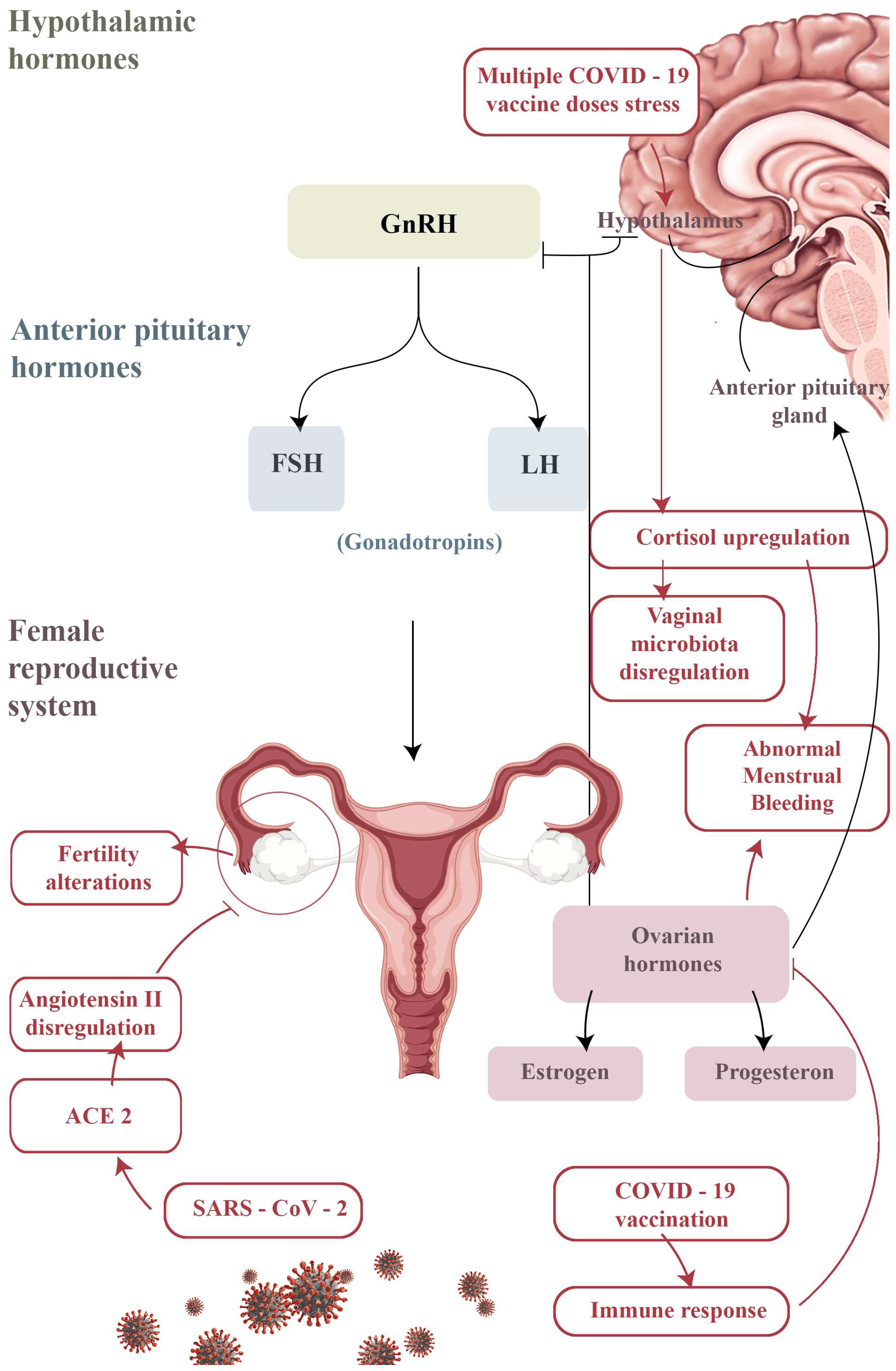 Jpm 13 00312 g003 Jpm 13 00312 g003