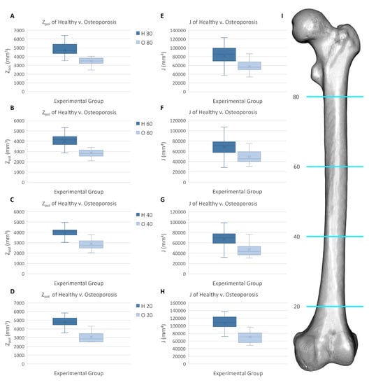 JPM | Free Full-Text | Advancing Osteoporosis Evaluation Procedures ...