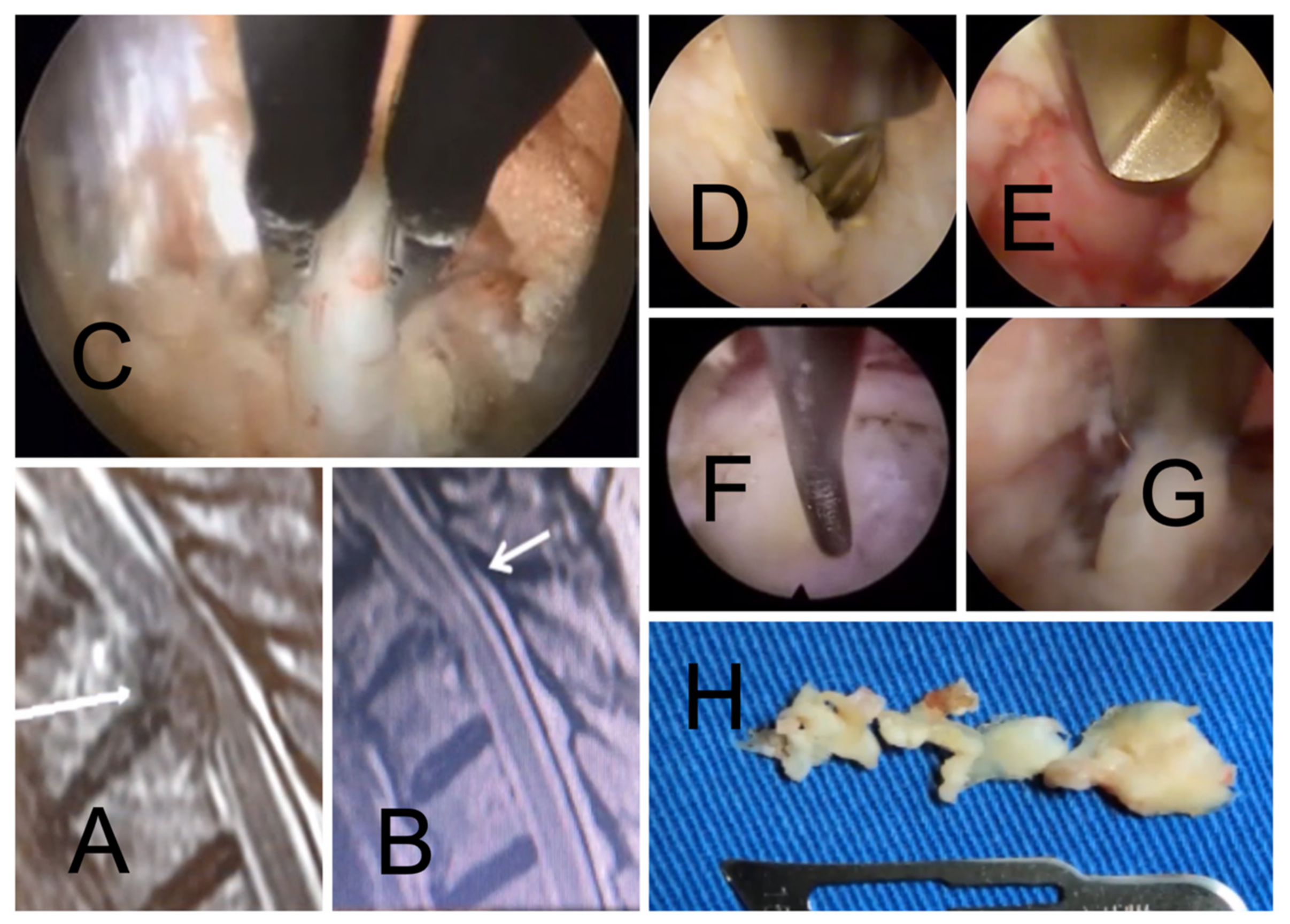 Jpm 13 00356 g003 Jpm 13 00356 g003