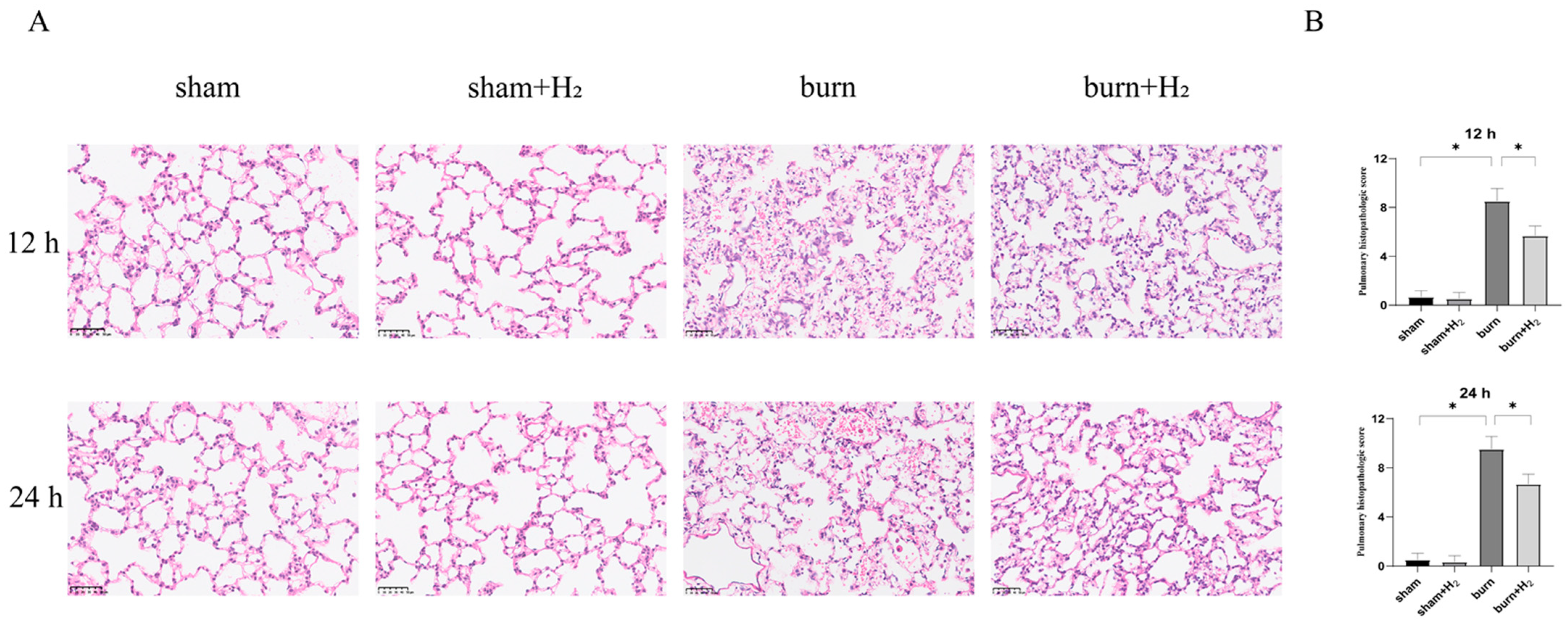 Jpm 13 00377 g002 Jpm 13 00377 g002