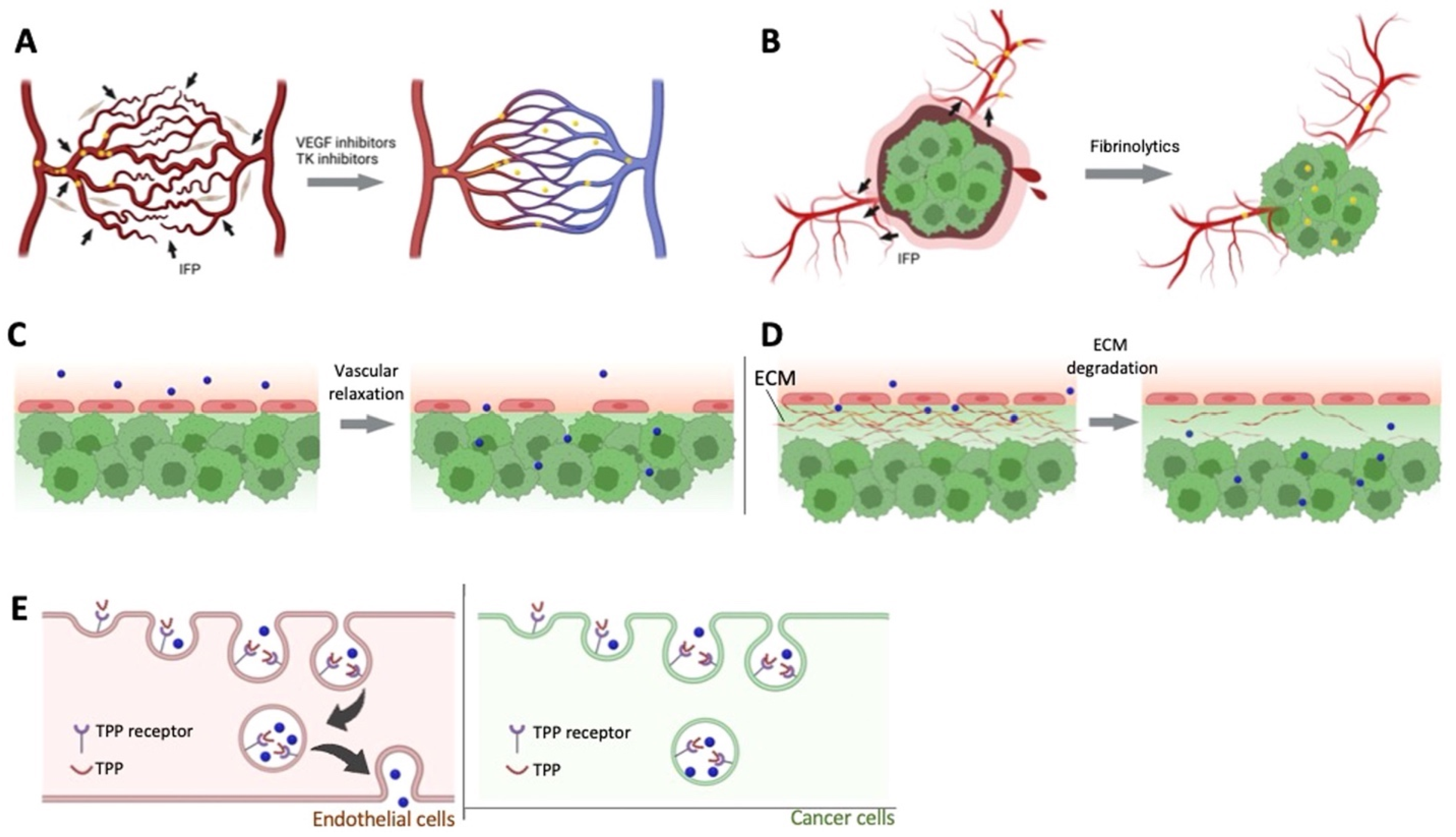 Jpm 13 00389 g001 Jpm 13 00389 g001