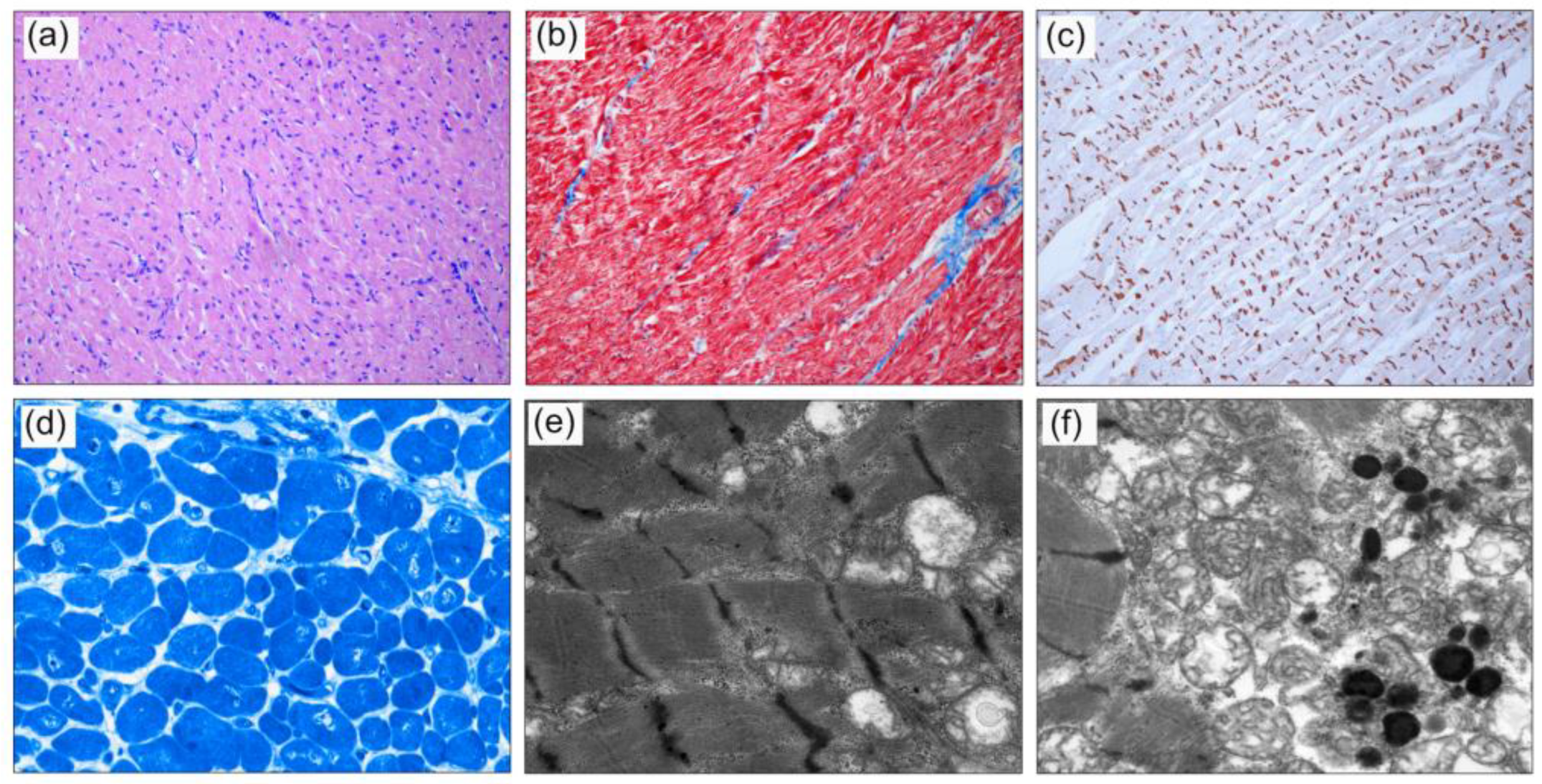 Jpm 13 00611 g001 Jpm 13 00611 g001