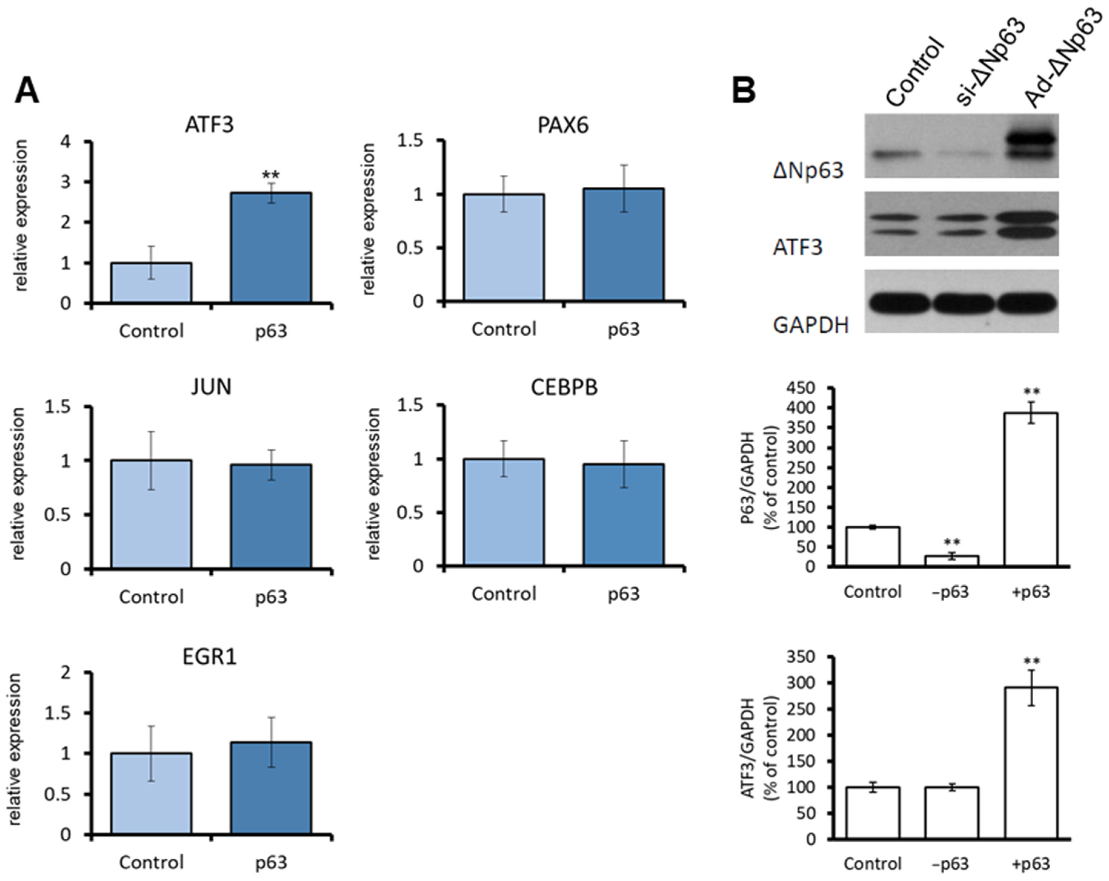 Jpm 13 00700 g001 Jpm 13 00700 g001
