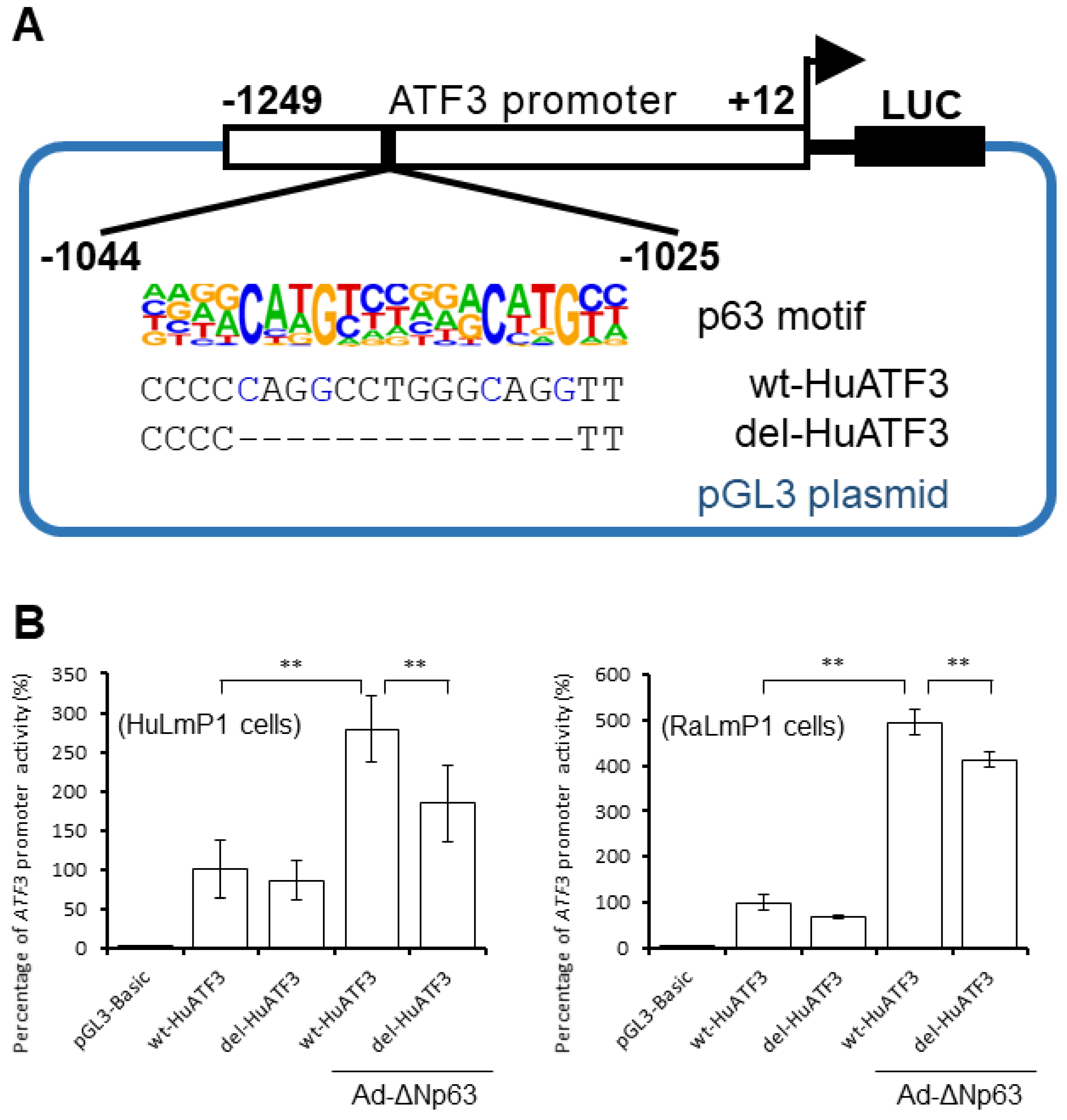 Jpm 13 00700 g002 Jpm 13 00700 g002