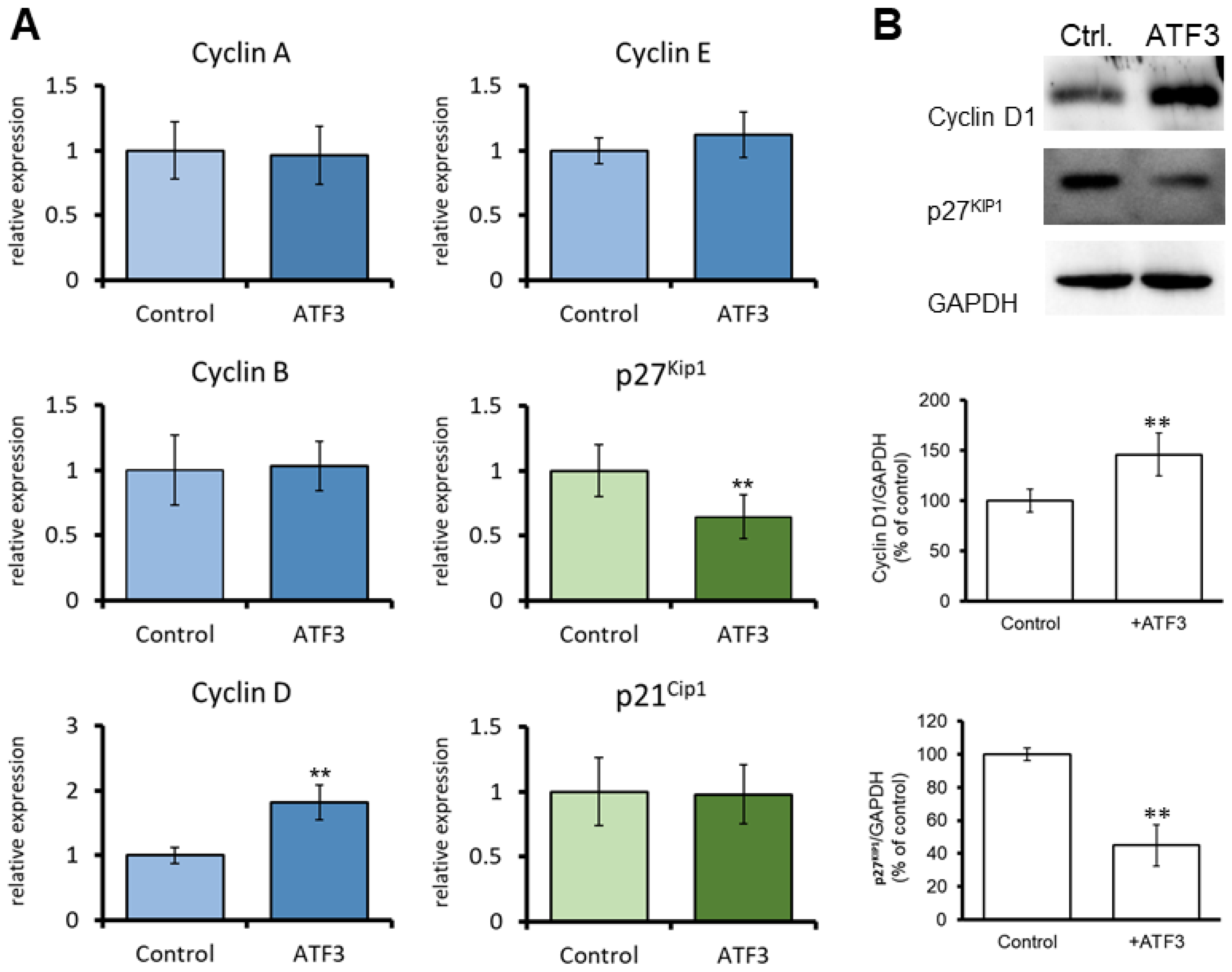 Jpm 13 00700 g004 Jpm 13 00700 g004