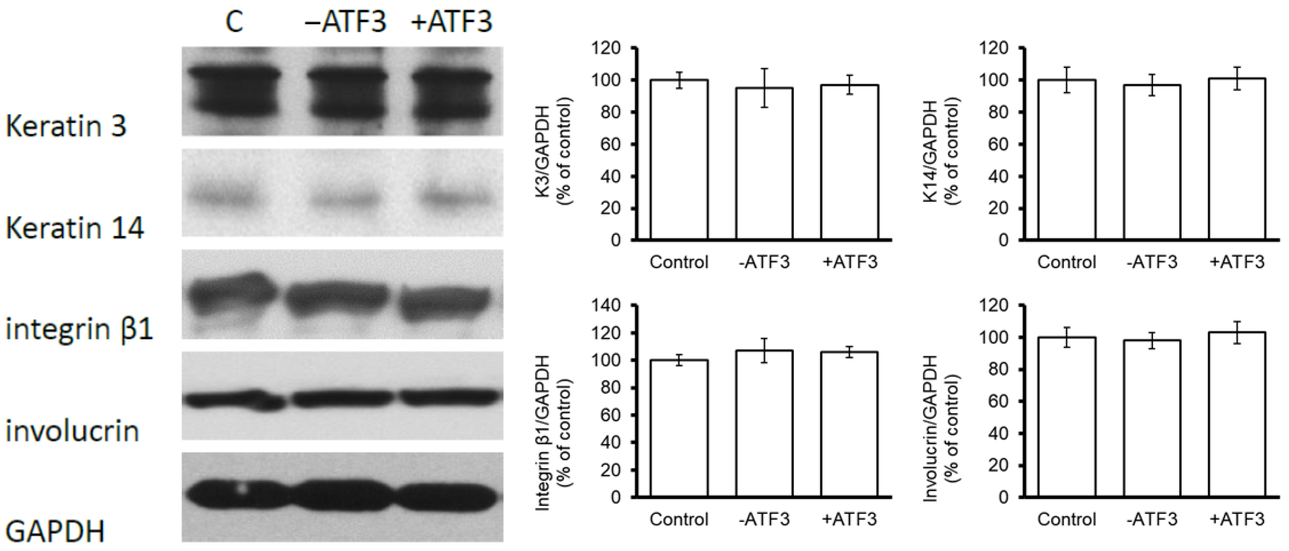 Jpm 13 00700 g005 Jpm 13 00700 g005