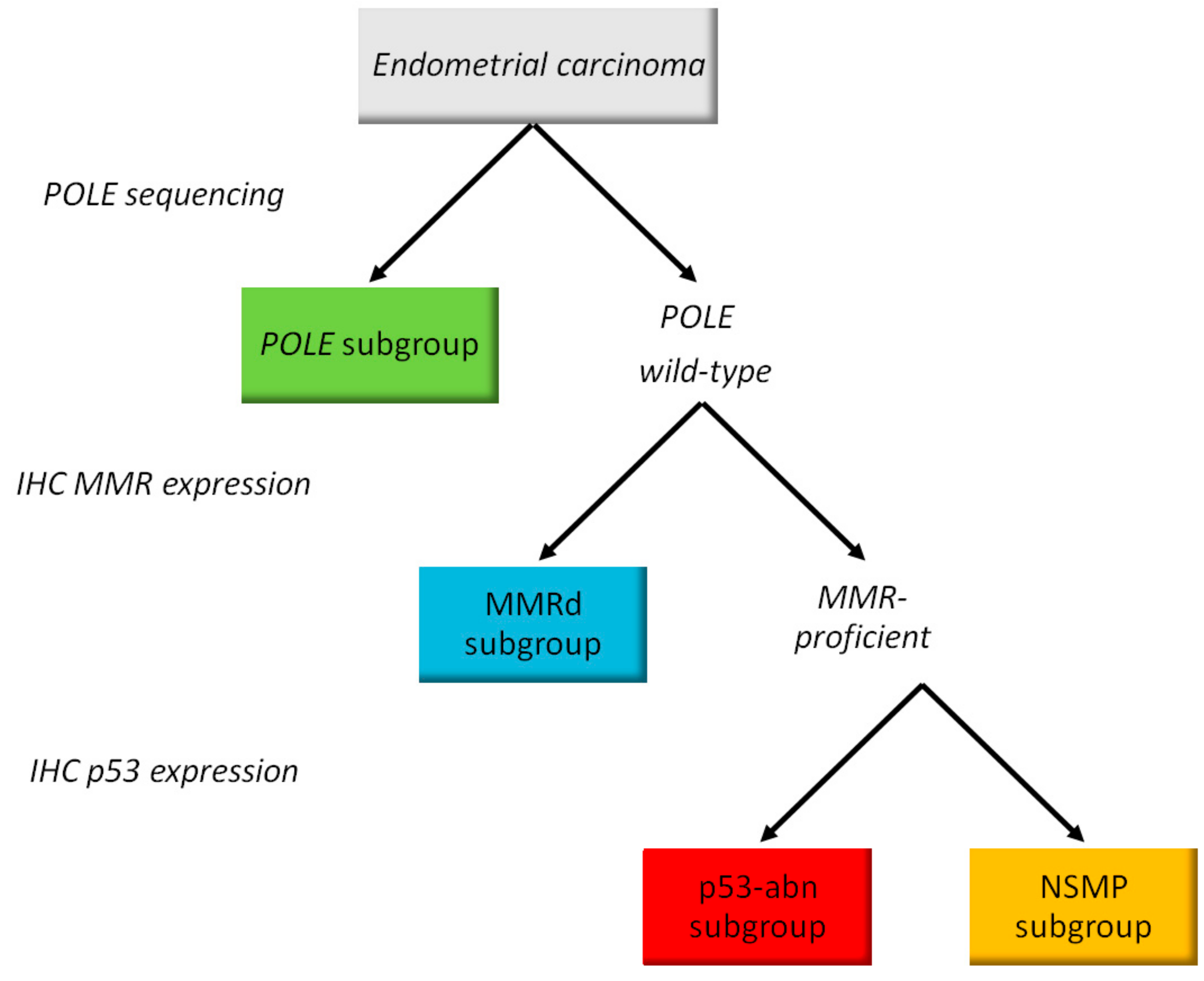 JPM | Free Full-Text | Prognostic Impact of Pathologic Features in  Molecular Subgroups of Endometrial Carcinoma