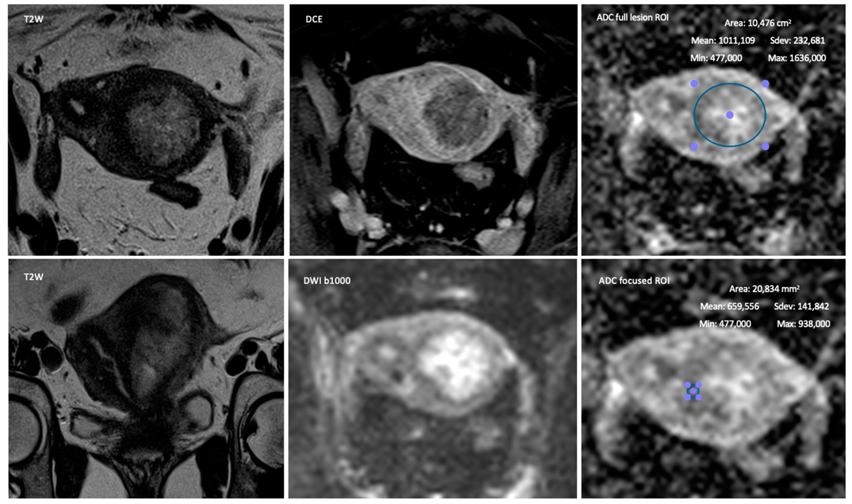 Jpm 13 00728 g002 Jpm 13 00728 g002