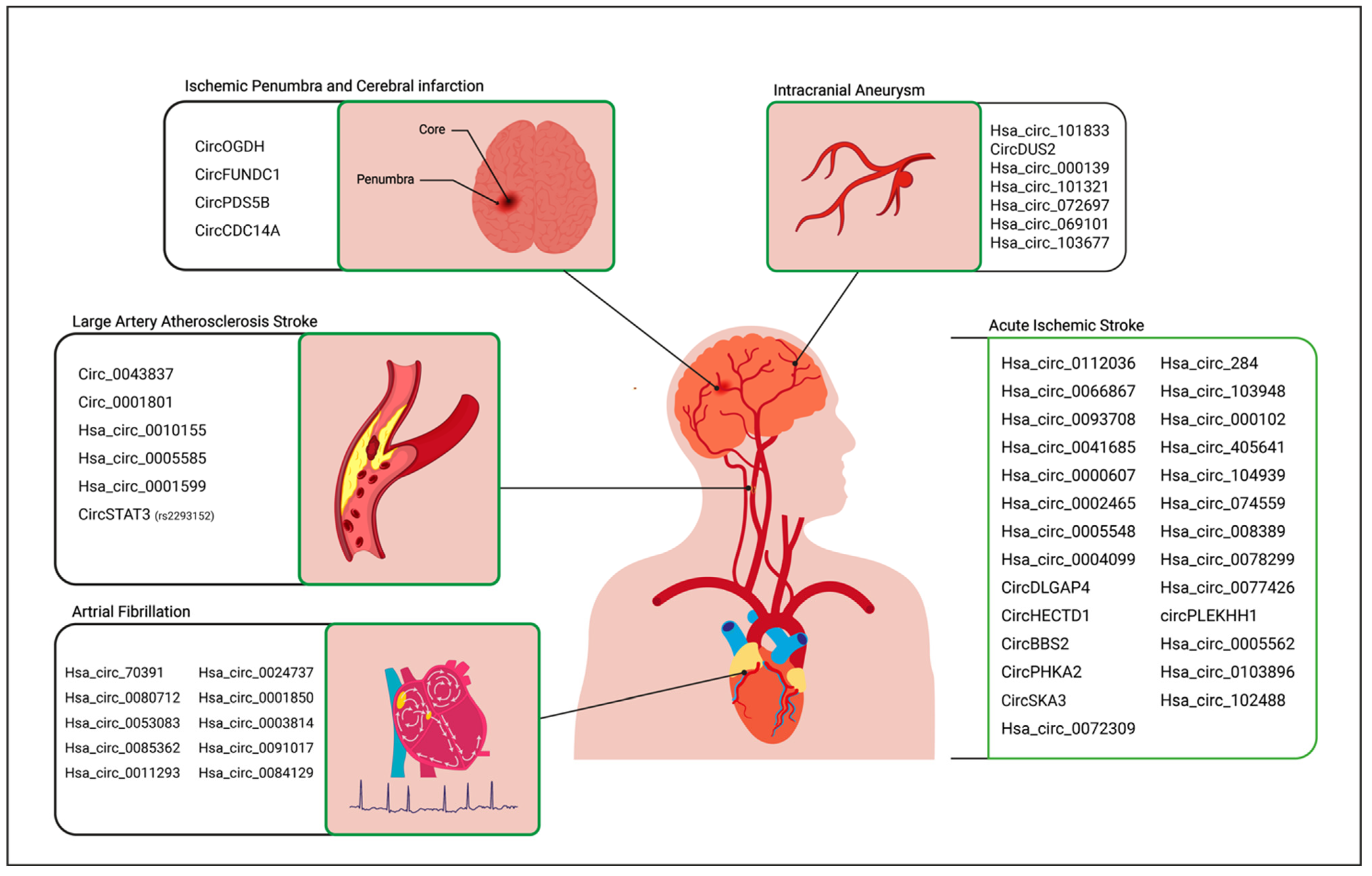 Jpm 13 00839 g003 Jpm 13 00839 g003