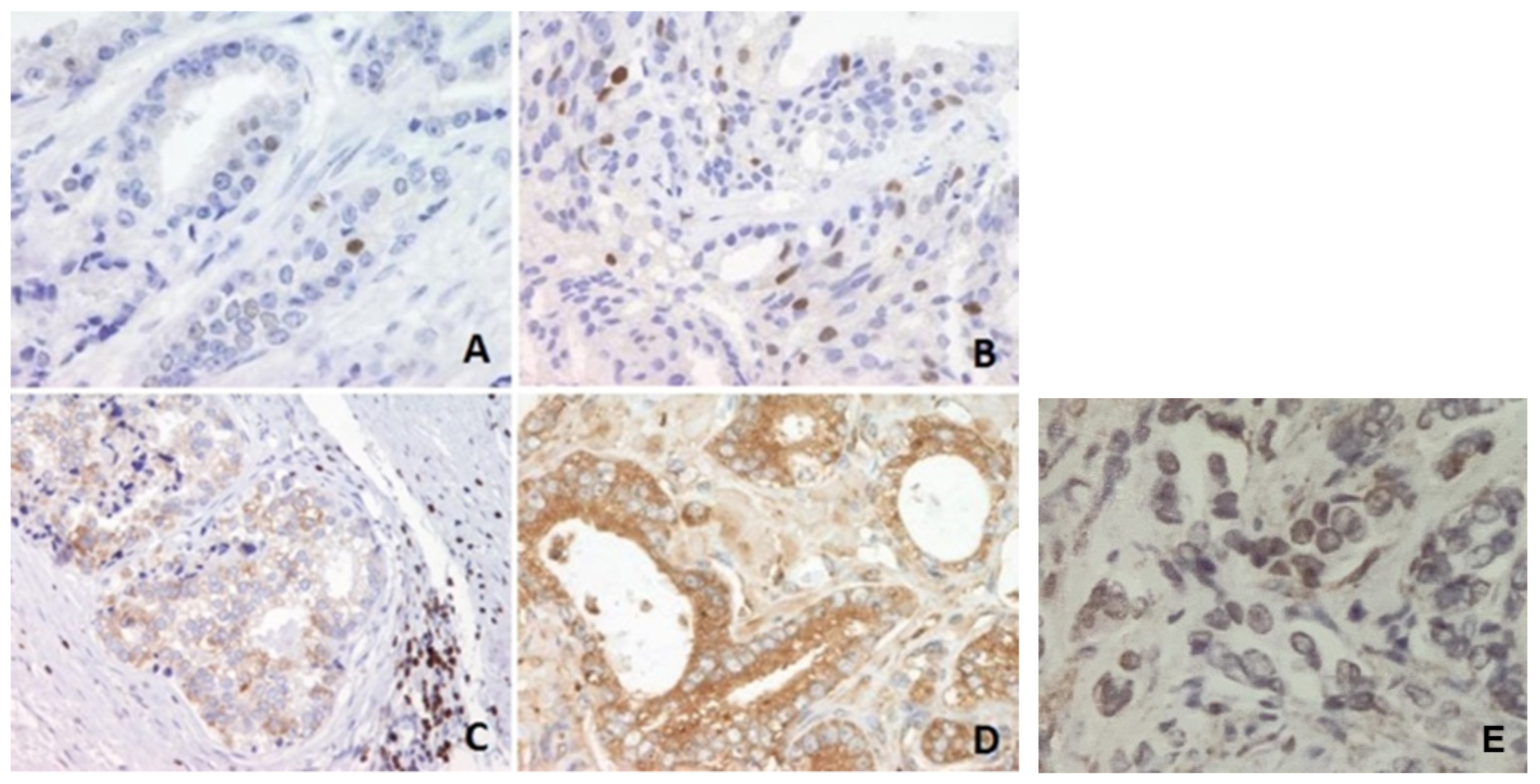 Jpm 13 00870 g001 Jpm 13 00870 g001