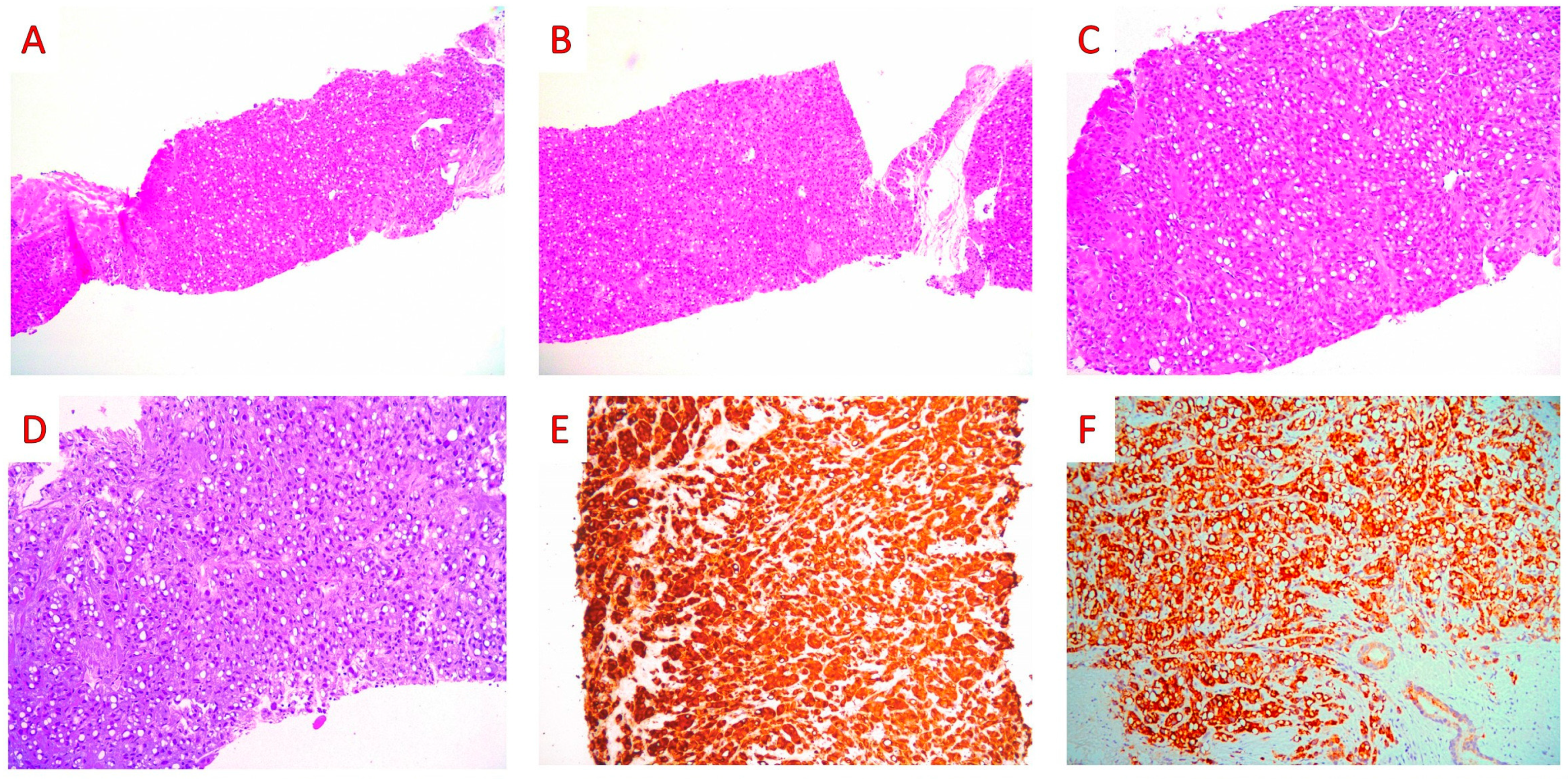 Jpm 13 01016 g002 Jpm 13 01016 g002