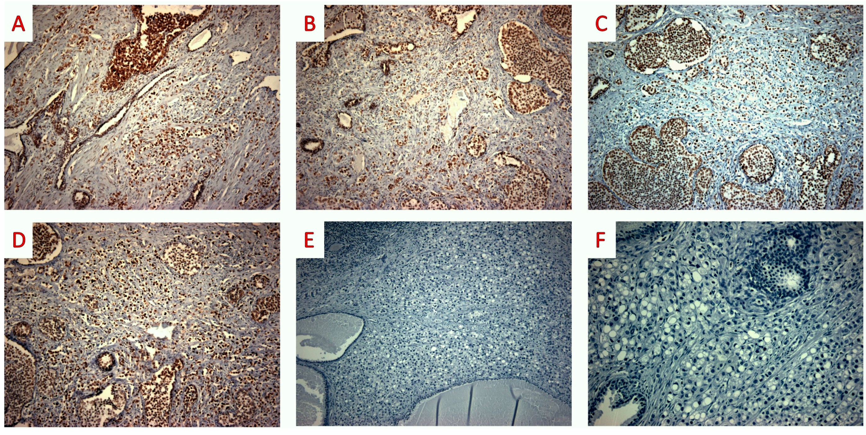 Jpm 13 01016 g005 Jpm 13 01016 g005