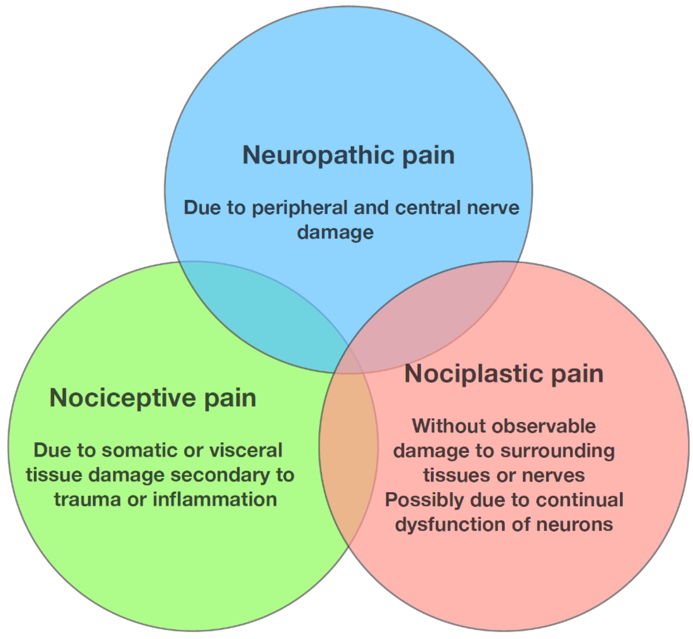 Jpm 13 01139 g002 Jpm 13 01139 g002