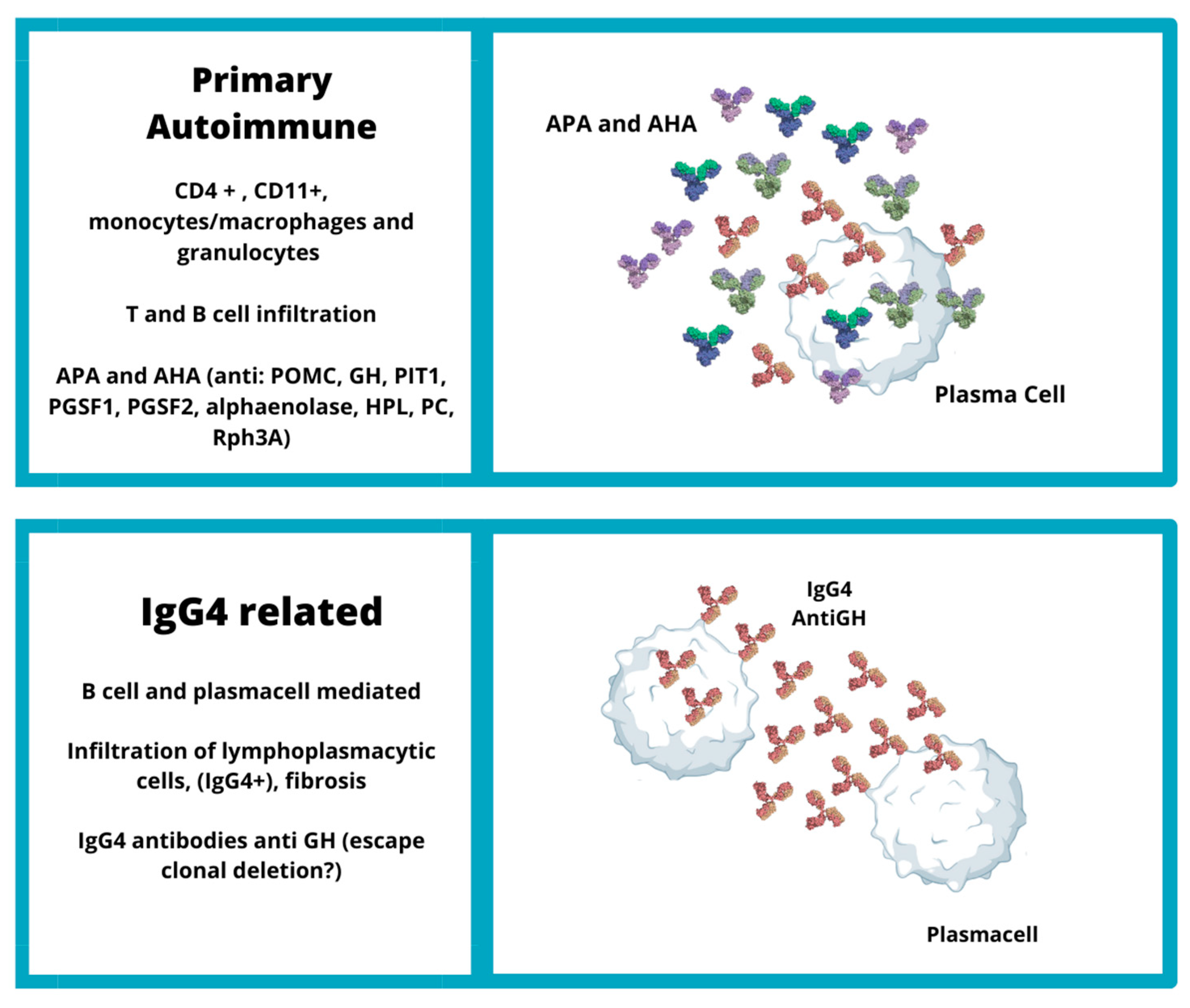 JPM | Free Full-Text | Unveiling the Etiopathogenic Spectrum of  Hypophysitis: A Narrative Review