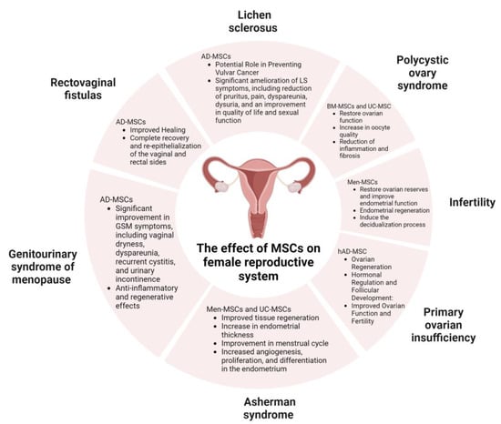 Vaginal Atrophy ~ I was in my 30's and trying for a baby - Lichen Sclerosus  & Vulval cancer UK Awareness