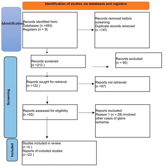 File:Phimosis treatment 01.jpg - Wikimedia Commons