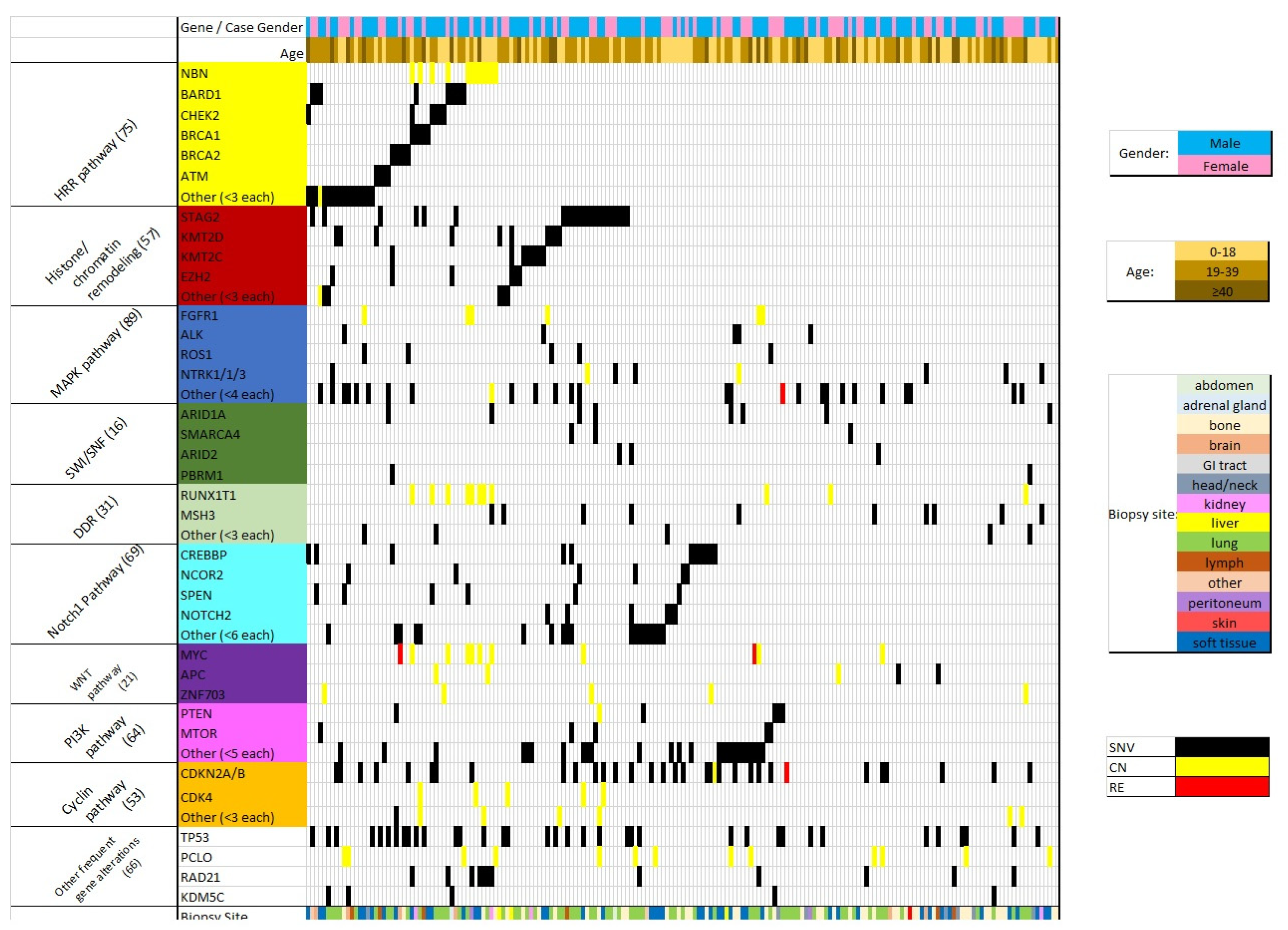 Jpm 13 01499 g001 Jpm 13 01499 g001